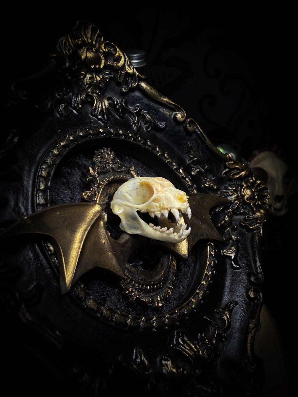 The Night Sovereign | handmade gothic relic with hand-cast painted bat skull, gold wings, gold chain and black velvet on ornate black frame | Morbid Oddities
