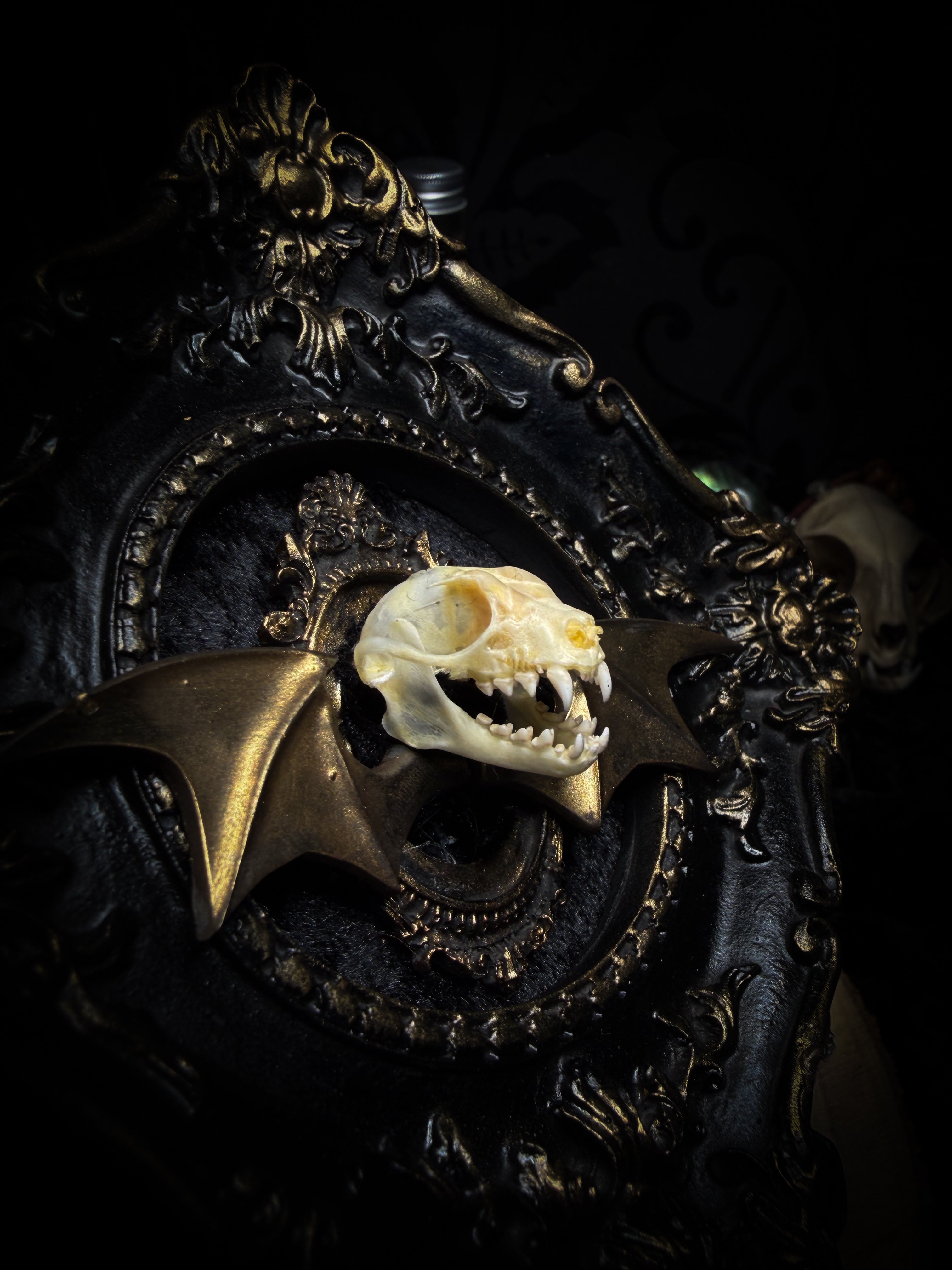 The Night Sovereign | handmade gothic relic with hand-cast painted bat skull, gold wings, gold chain and black velvet on ornate black frame | Morbid Oddities

