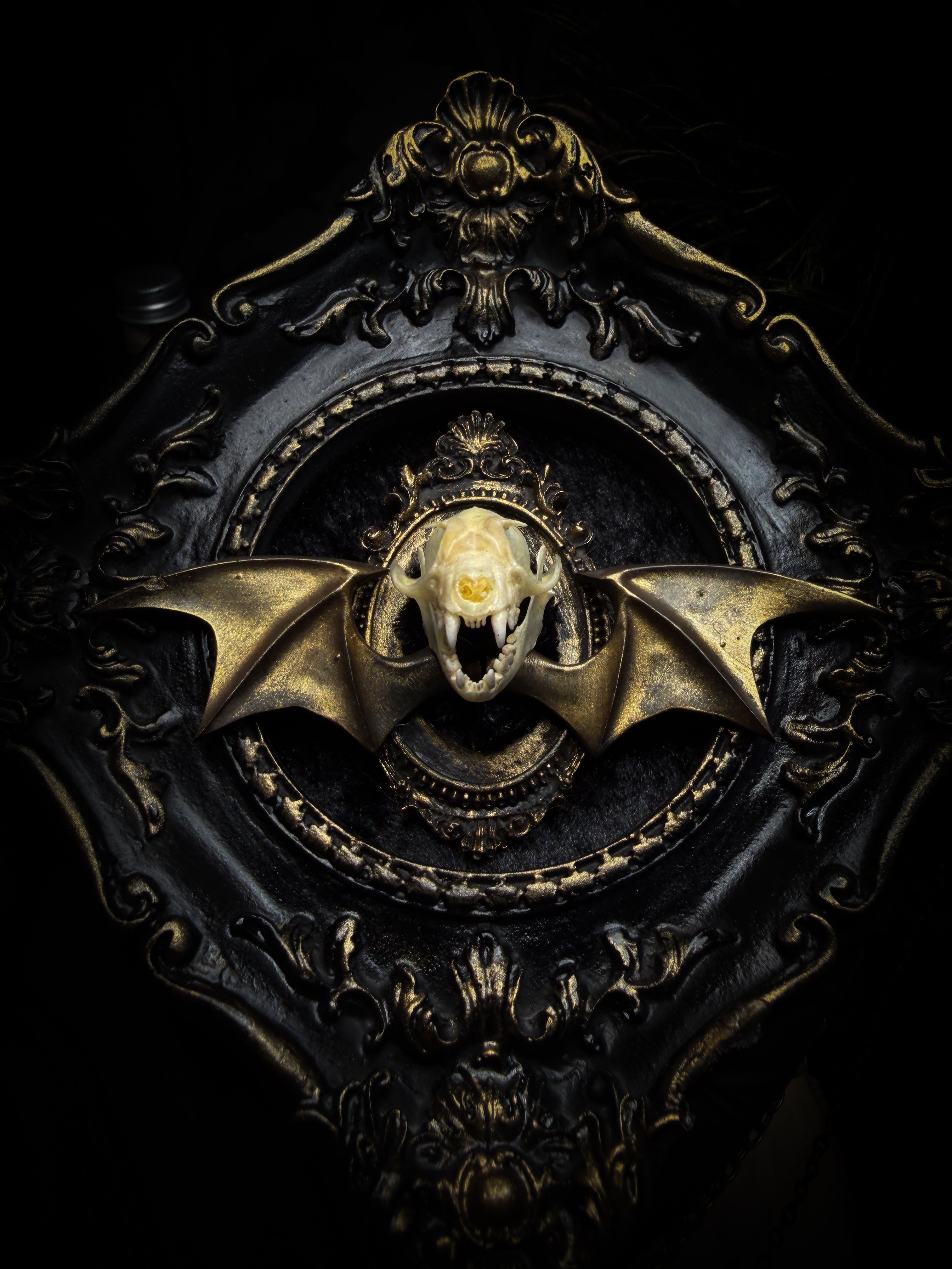 The Night Sovereign | handmade gothic relic with hand-cast painted bat skull, gold wings, gold chain and black velvet on ornate black frame | Morbid Oddities
