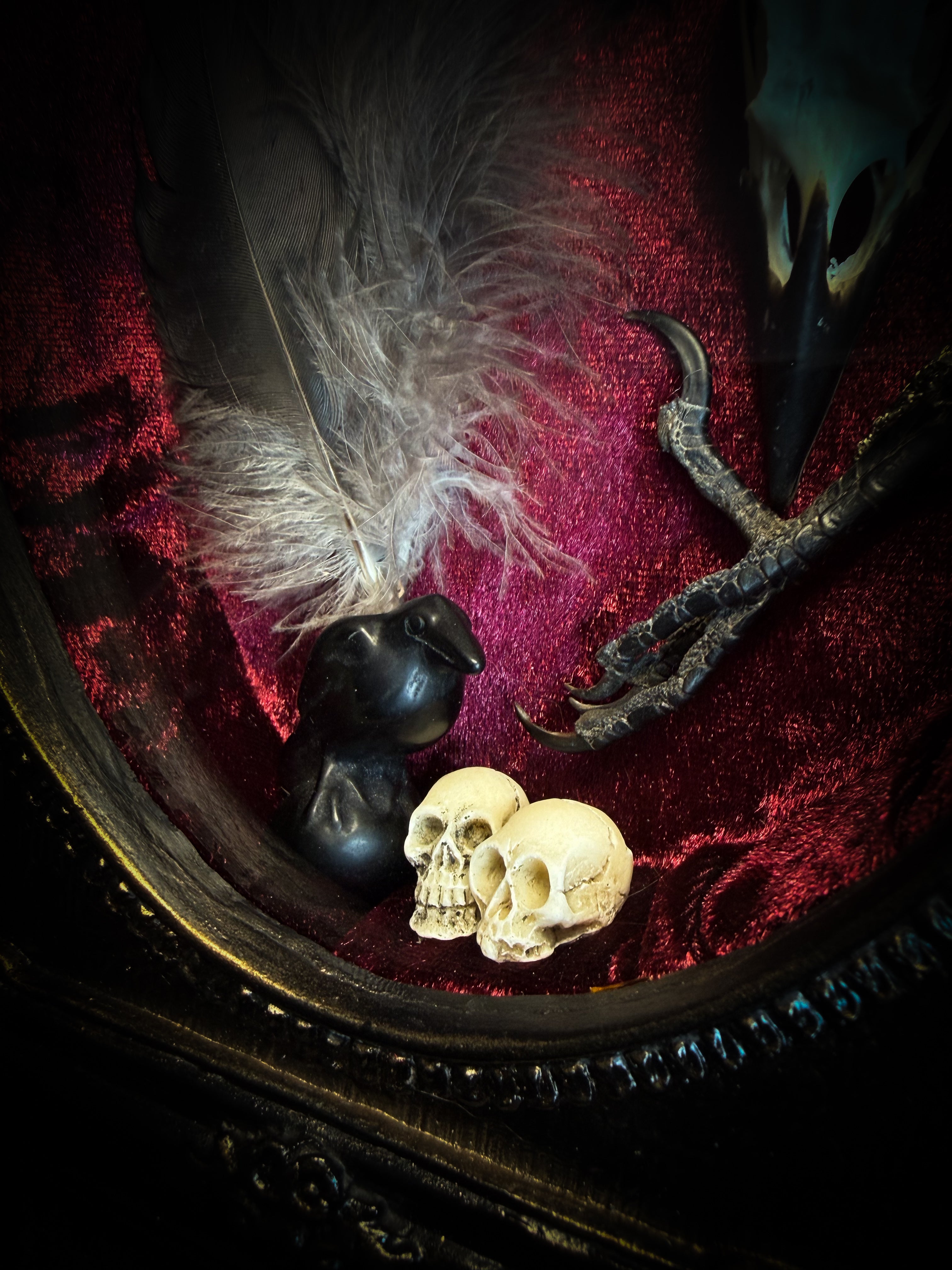Corvus Rex | handmade gothic shadowbox with real crow skull, raven feathers, obsidian crow figurine, miniature skulls, crow foot, hand-cast painted baroque frame, hand-cut glass and burgundy velvet | Morbid Oddities
