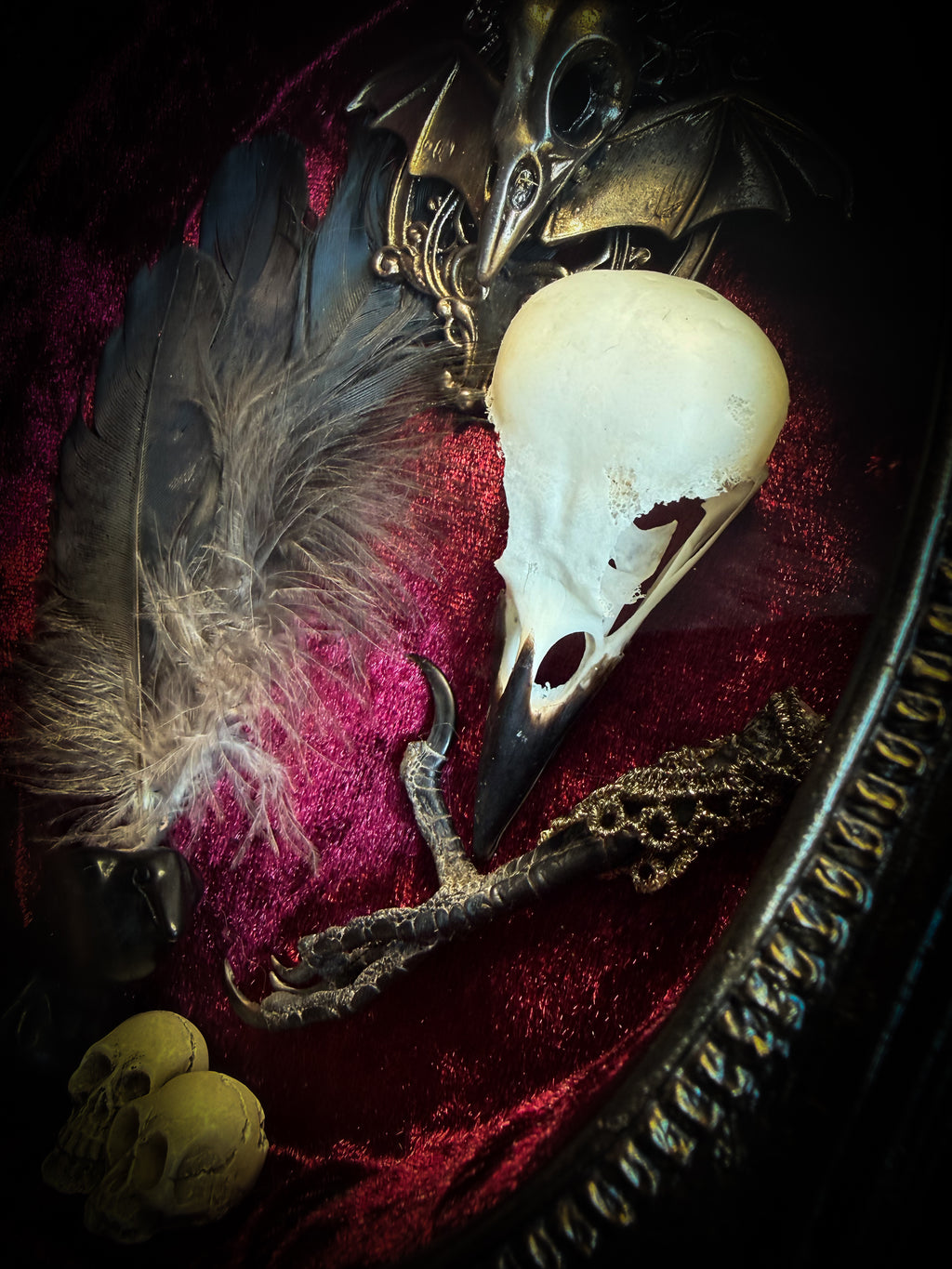 Corvus Rex | handmade gothic shadowbox with real crow skull, raven feathers, obsidian crow figurine, miniature skulls, crow foot, hand-cast painted baroque frame, hand-cut glass and burgundy velvet | Morbid Oddities
