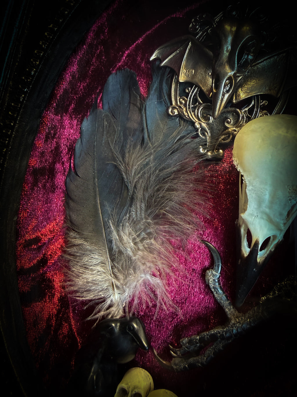 Corvus Rex | handmade gothic shadowbox with real crow skull, raven feathers, obsidian crow figurine, miniature skulls, crow foot, hand-cast painted baroque frame, hand-cut glass and burgundy velvet | Morbid Oddities
