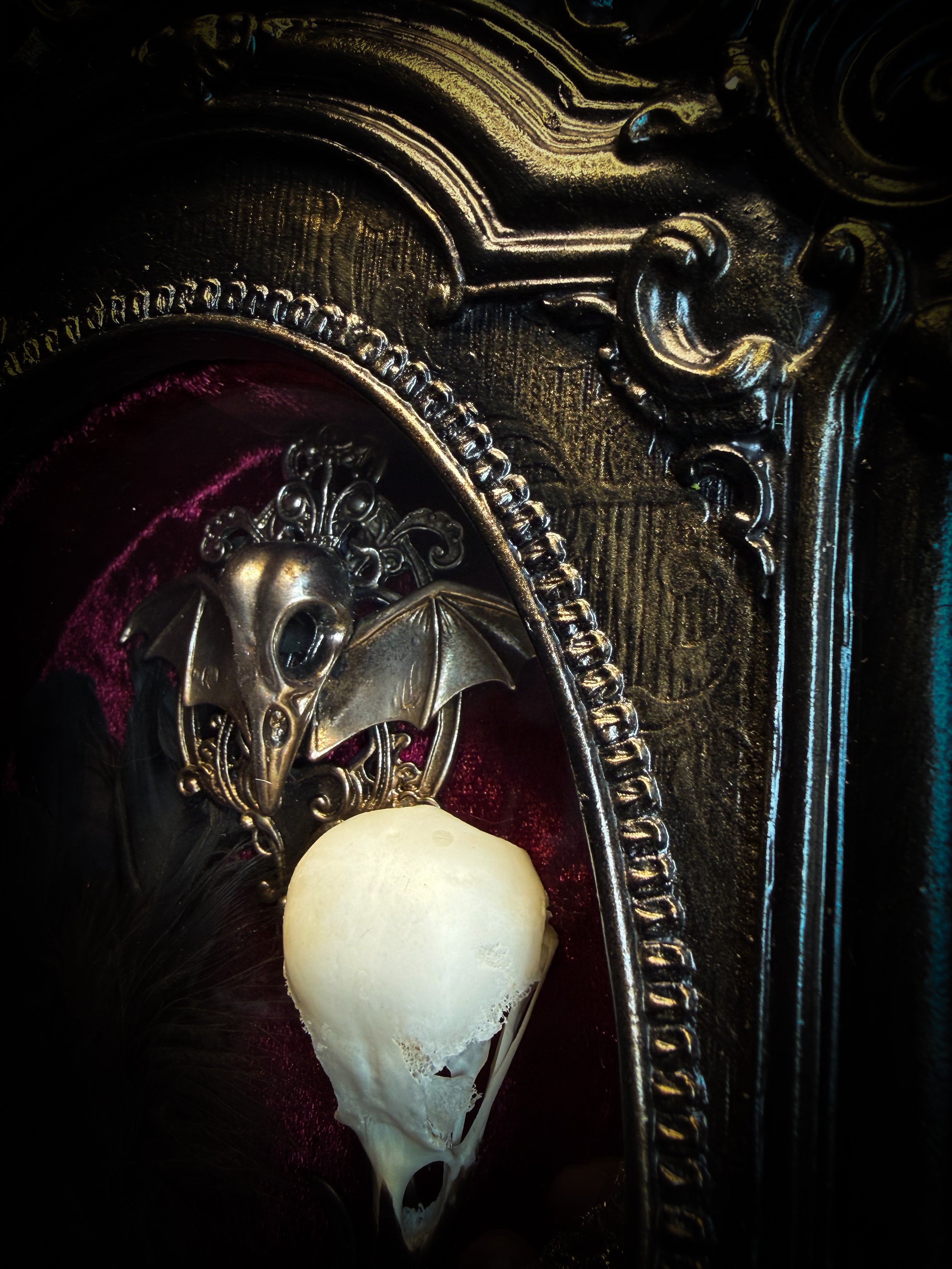 Corvus Rex | handmade gothic shadowbox with real crow skull, raven feathers, obsidian crow figurine, miniature skulls, crow foot, hand-cast painted baroque frame, hand-cut glass and burgundy velvet | Morbid Oddities
