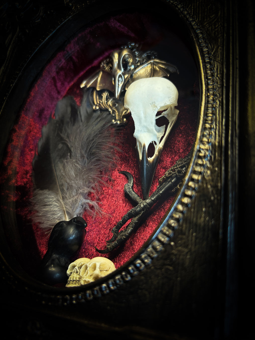 Corvus Rex | handmade gothic shadowbox with real crow skull, raven feathers, obsidian crow figurine, miniature skulls, crow foot, hand-cast painted baroque frame, hand-cut glass and burgundy velvet | Morbid Oddities
