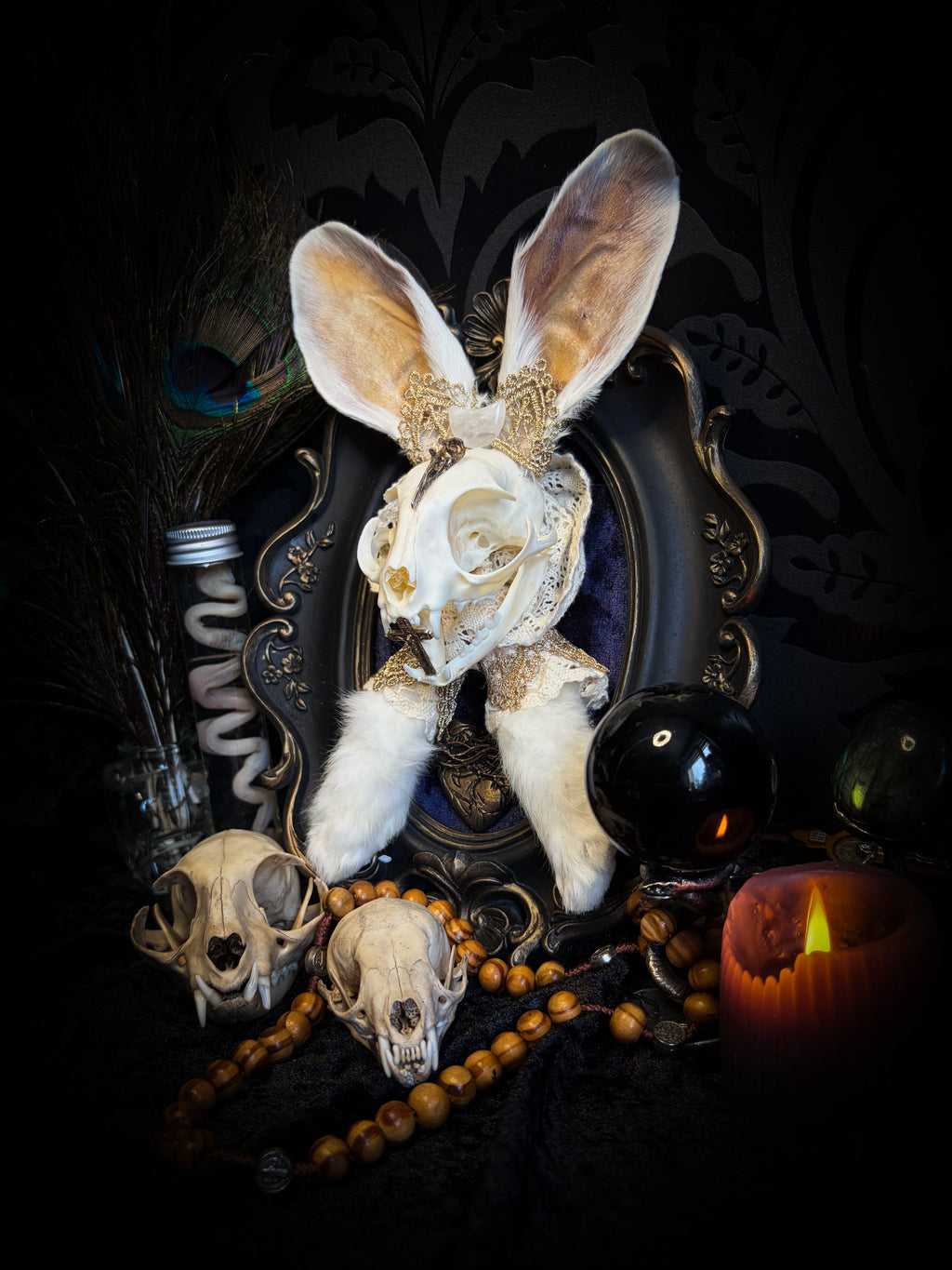 Christ Superstar | handmade Bunny Kitten puppet frame with real cat skull, albino rabbit ears and feet, golden Sacred Heart with thorns, white and gold lace, cross, white quartz moon, raven and deep navy gathered velvet in hand-cast painted baroque frame | Morbid Oddities
