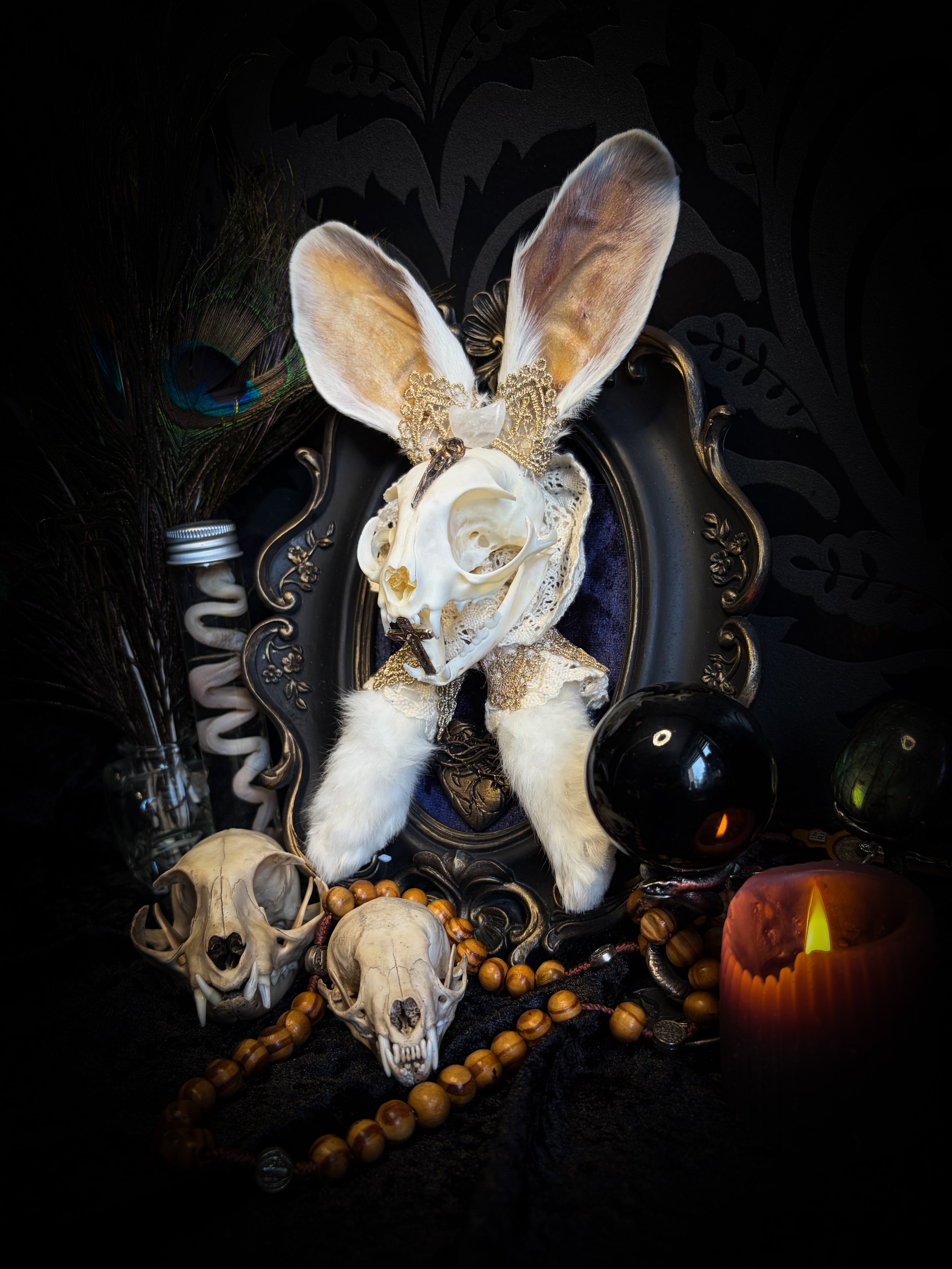 Christ Superstar | handmade Bunny Kitten puppet frame with real cat skull, albino rabbit ears and feet, golden Sacred Heart with thorns, white and gold lace, cross, white quartz moon, raven and deep navy gathered velvet in hand-cast painted baroque frame | Morbid Oddities
