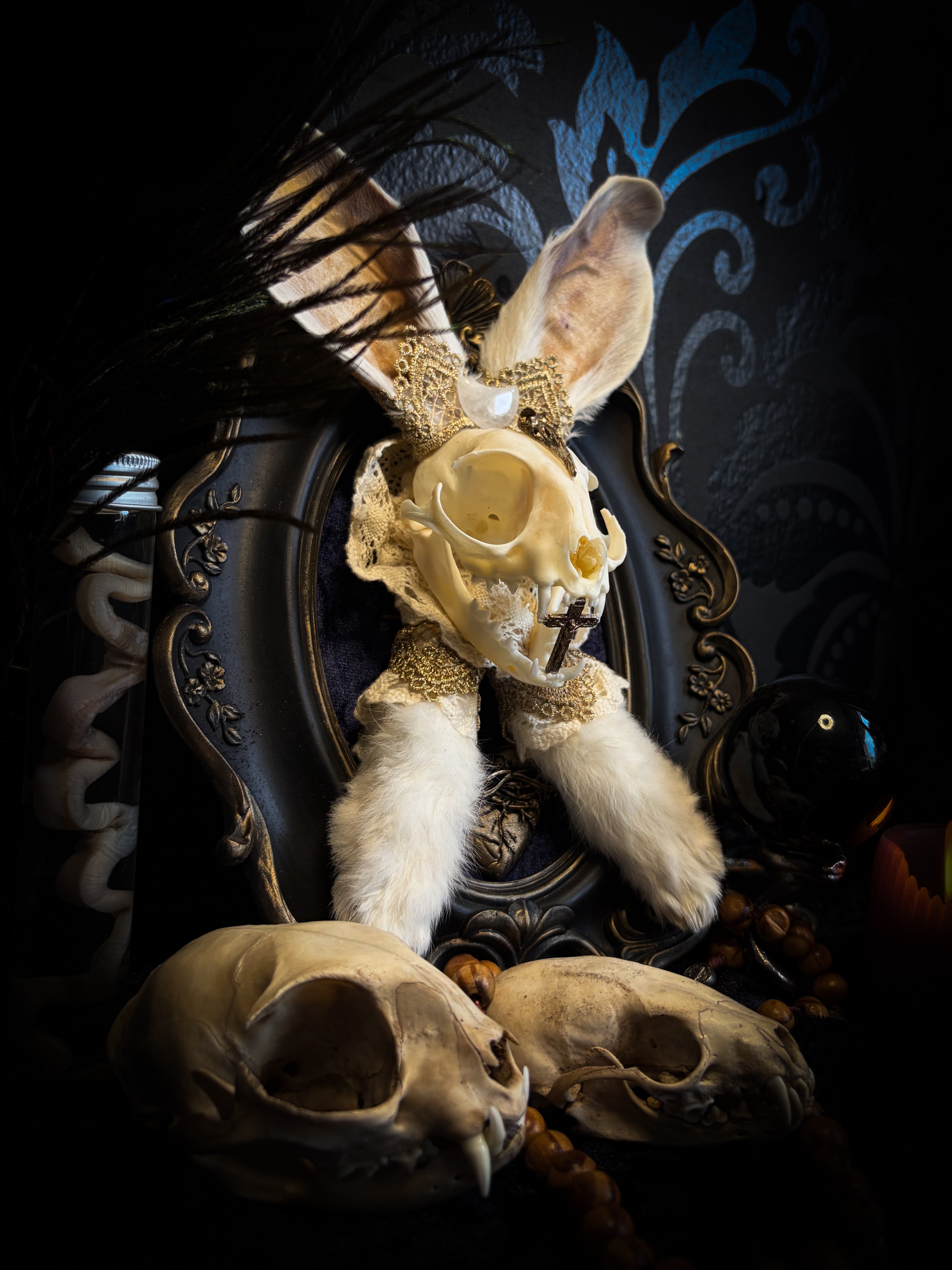 Christ Superstar | handmade Bunny Kitten puppet frame with real cat skull, albino rabbit ears and feet, golden Sacred Heart with thorns, white and gold lace, cross, white quartz moon, raven and deep navy gathered velvet in hand-cast painted baroque frame | Morbid Oddities

