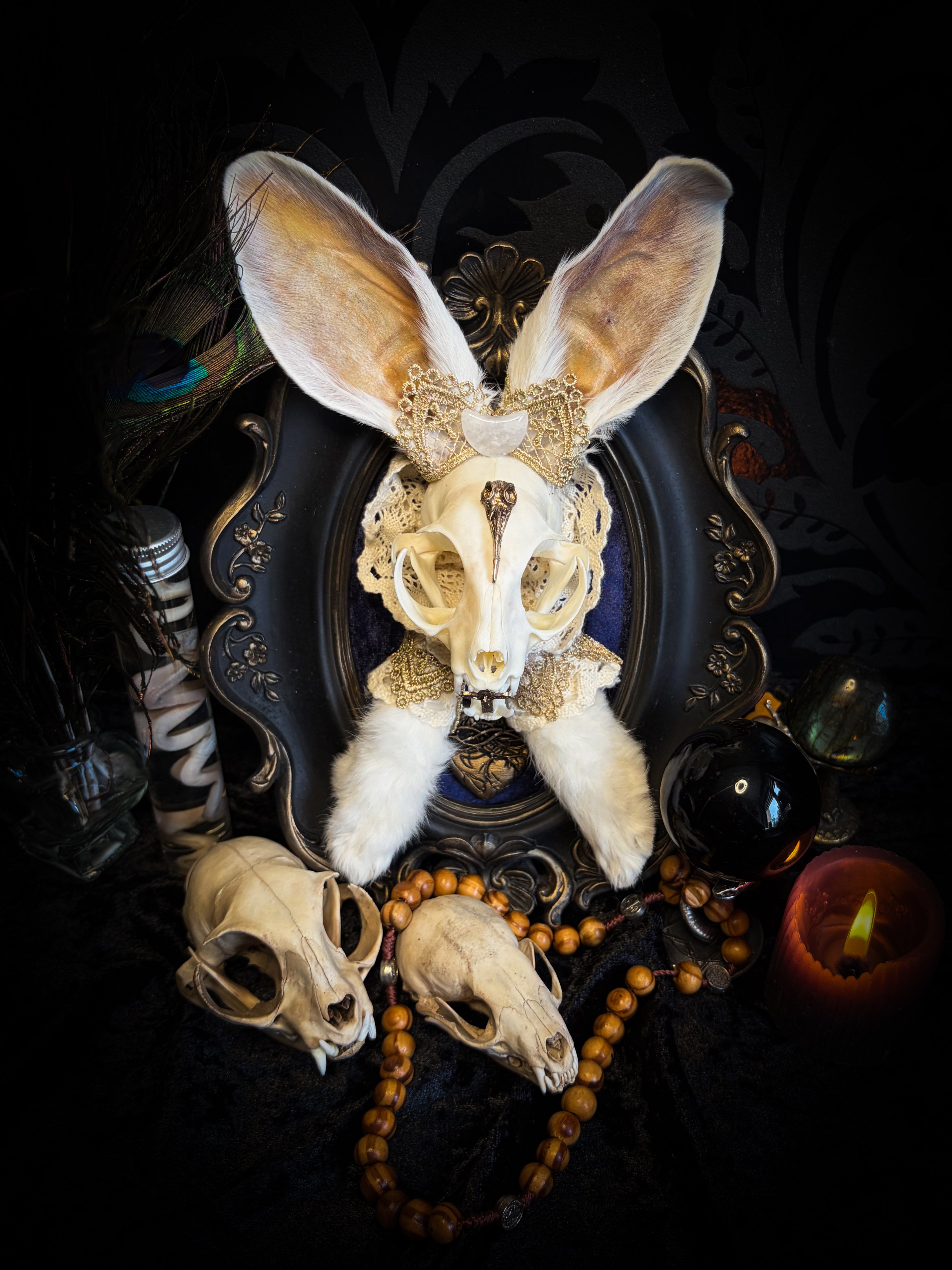 Christ Superstar | handmade Bunny Kitten puppet frame with real cat skull, albino rabbit ears and feet, golden Sacred Heart with thorns, white and gold lace, cross, white quartz moon, raven and deep navy gathered velvet in hand-cast painted baroque frame | Morbid Oddities
