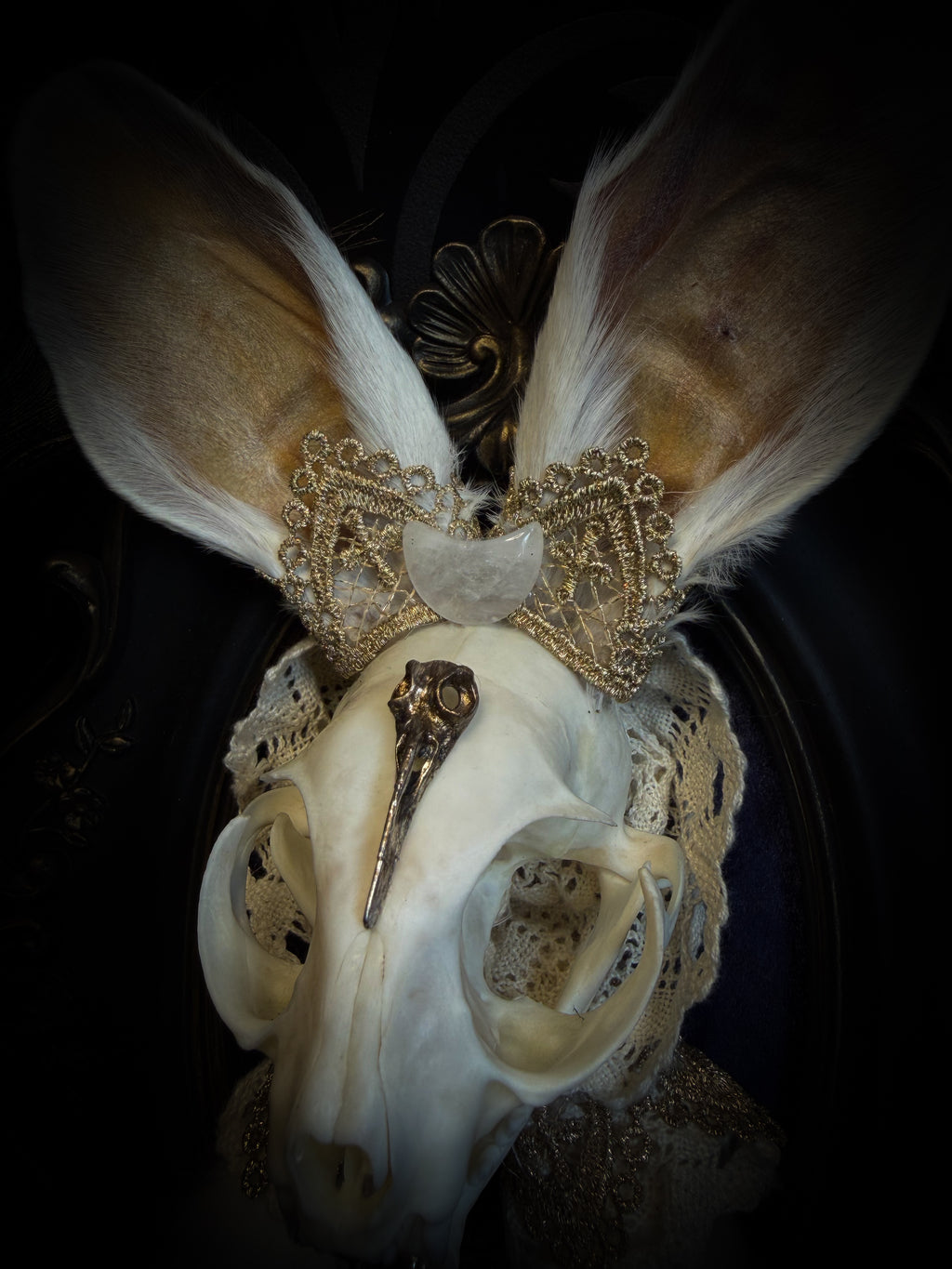 Christ Superstar | handmade Bunny Kitten puppet frame with real cat skull, albino rabbit ears and feet, golden Sacred Heart with thorns, white and gold lace, cross, white quartz moon, raven and deep navy gathered velvet in hand-cast painted baroque frame | Morbid Oddities
