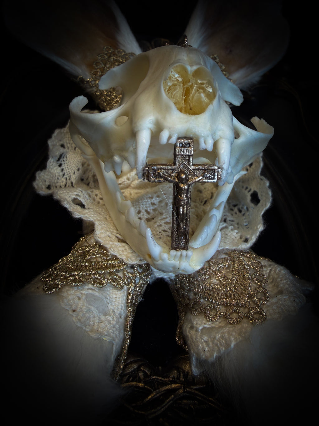 Christ Superstar | handmade Bunny Kitten puppet frame with real cat skull, albino rabbit ears and feet, golden Sacred Heart with thorns, white and gold lace, cross, white quartz moon, raven and deep navy gathered velvet in hand-cast painted baroque frame | Morbid Oddities
