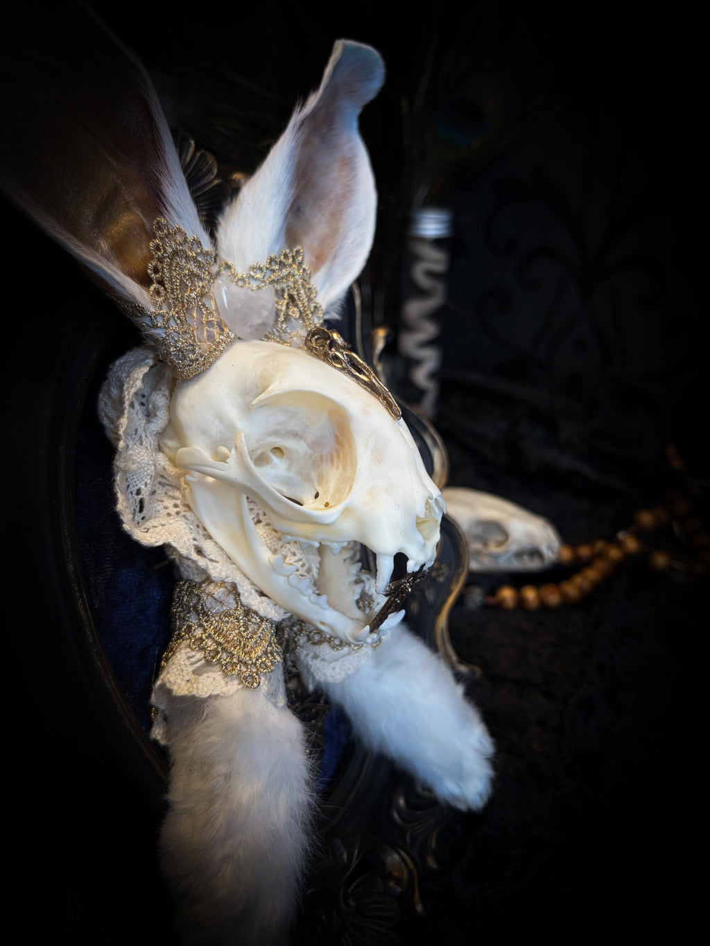 Christ Superstar | handmade Bunny Kitten puppet frame with real cat skull, albino rabbit ears and feet, golden Sacred Heart with thorns, white and gold lace, cross, white quartz moon, raven and deep navy gathered velvet in hand-cast painted baroque frame | Morbid Oddities
