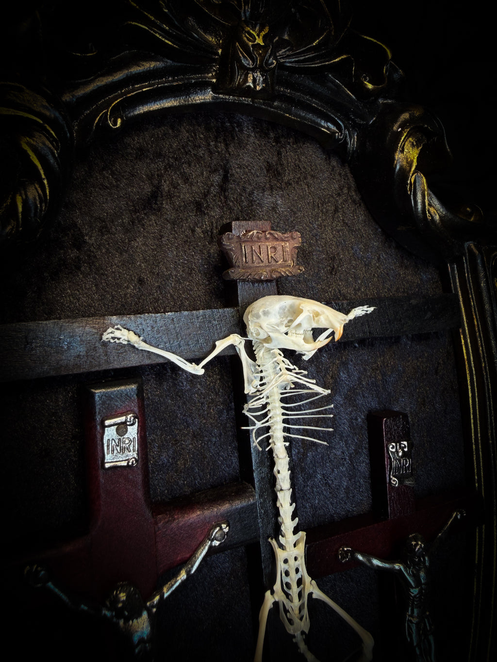 Golgotha | handmade occult relic with real mouse skeleton on three crosses with INRI inscription, cast and painted black and gold frame, black velvet backing | Morbid Oddities
