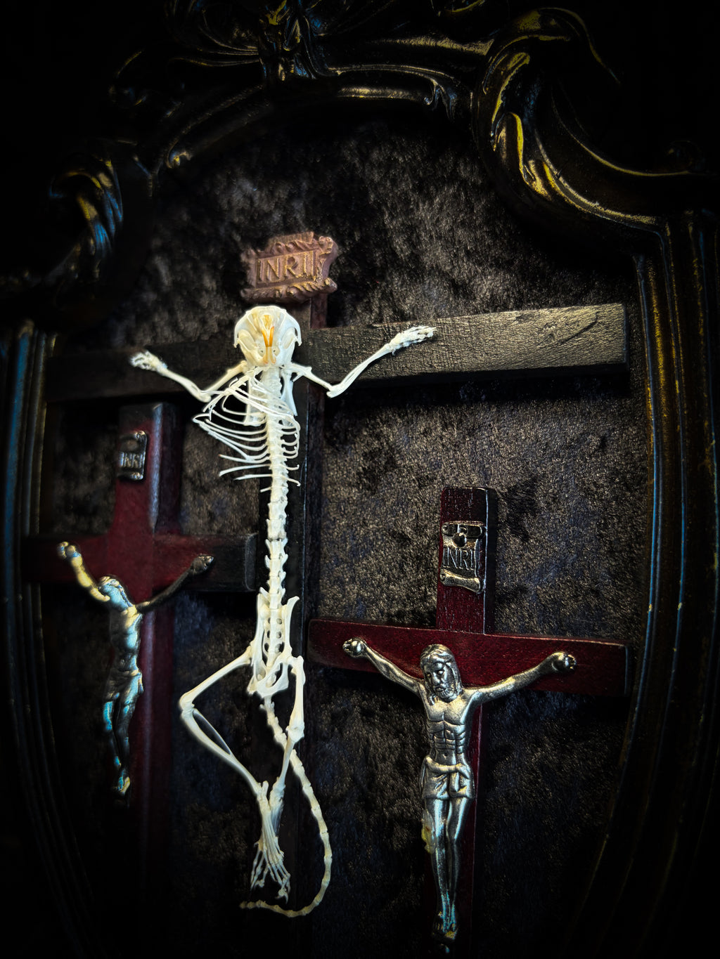 Golgotha | handmade occult relic with real mouse skeleton on three crosses with INRI inscription, cast and painted black and gold frame, black velvet backing | Morbid Oddities
