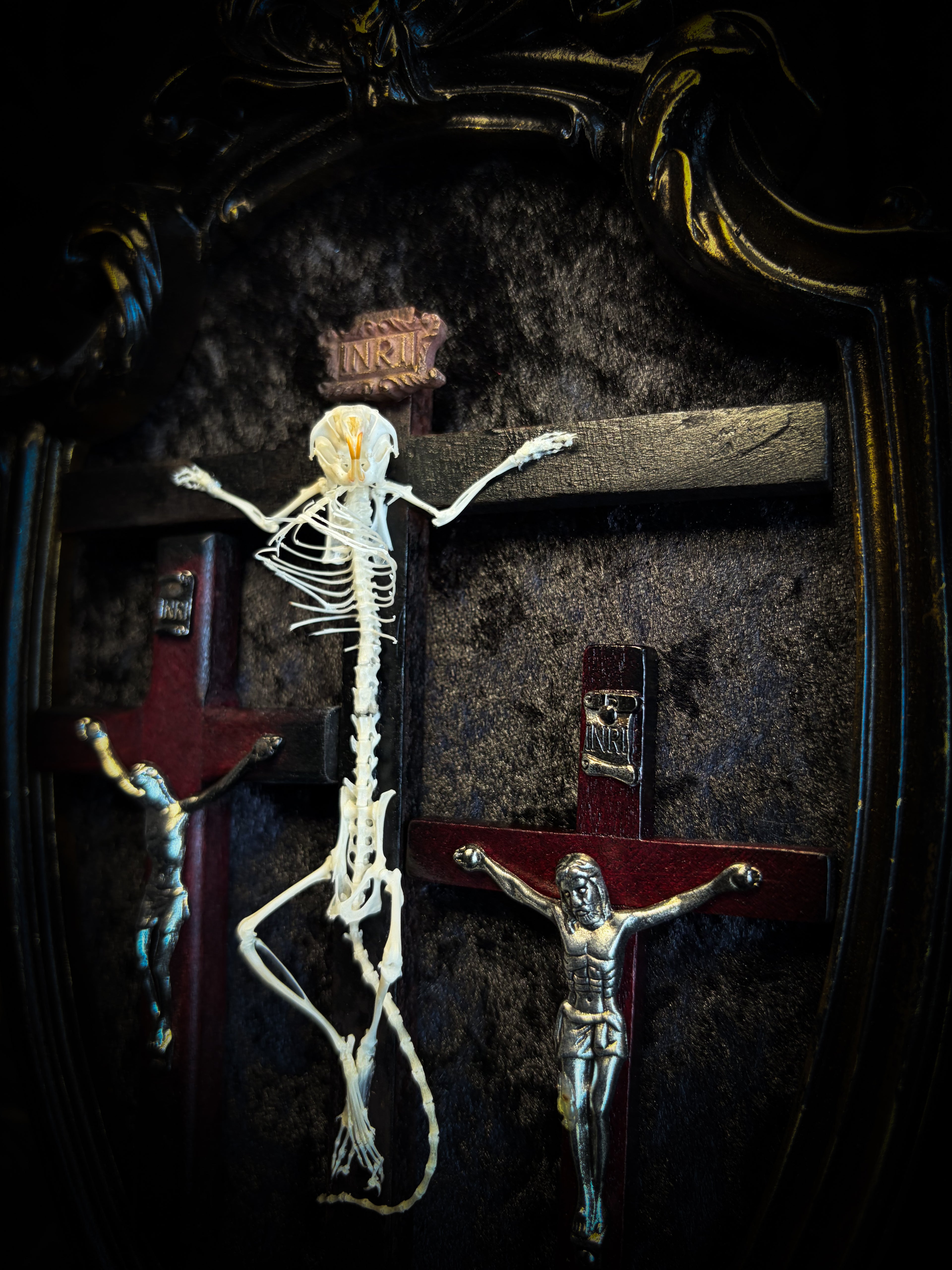Golgotha | handmade occult relic with real mouse skeleton on three crosses with INRI inscription, cast and painted black and gold frame, black velvet backing | Morbid Oddities
