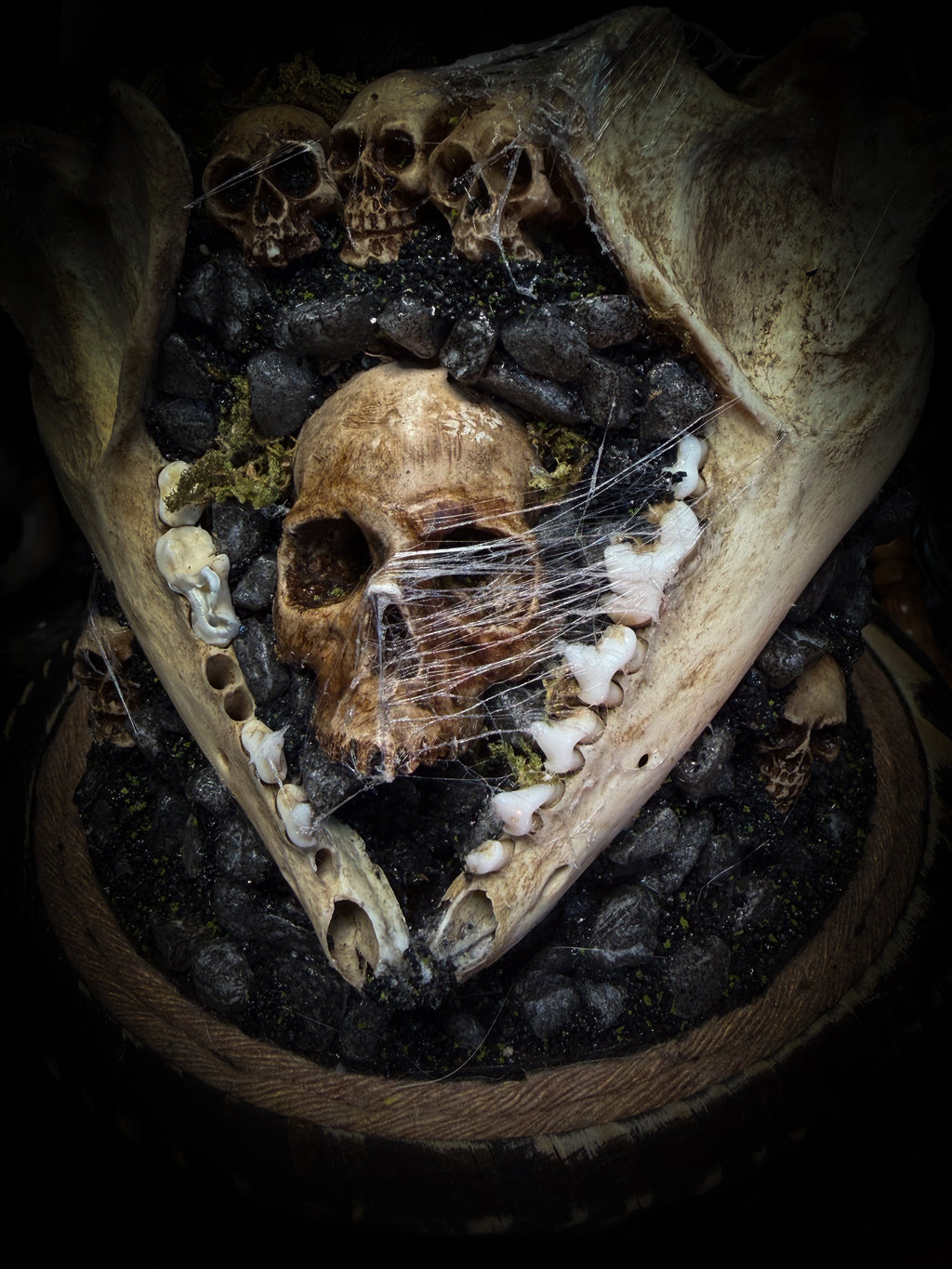 Vashti — handmade glass dome with real Poecilotheria metallica tarantula, deer rib arch, ornamented skulls and cobweb by Morbid Oddities