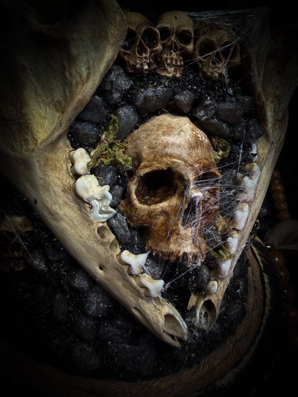 Vashti — handmade glass dome with real Poecilotheria metallica tarantula, deer rib arch, ornamented skulls and cobweb by Morbid Oddities