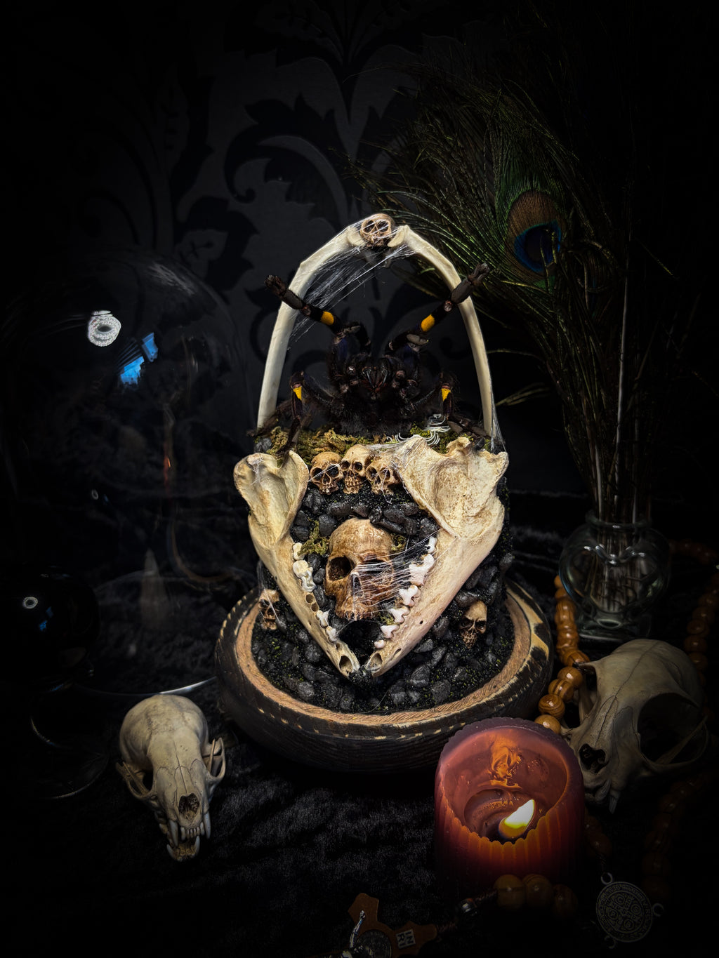 Vashti — handmade glass dome with real Poecilotheria metallica tarantula, deer rib arch, ornamented skulls and cobweb by Morbid Oddities