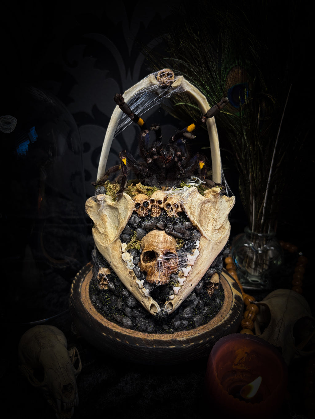 Vashti — handmade glass dome with real Poecilotheria metallica tarantula, deer rib arch, ornamented skulls and cobweb by Morbid Oddities