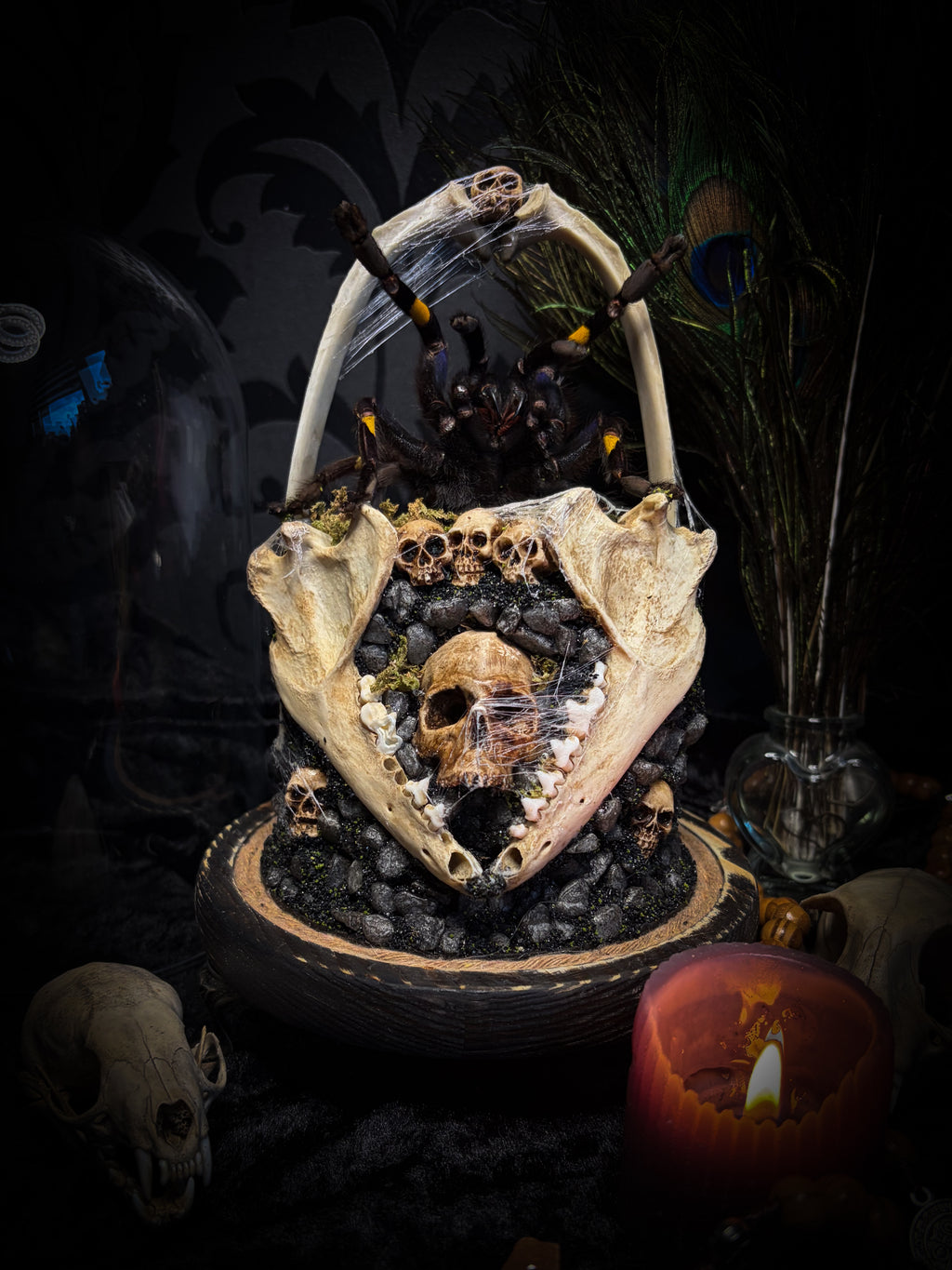 Vashti — handmade glass dome with real Poecilotheria metallica tarantula, deer rib arch, ornamented skulls and cobweb by Morbid Oddities