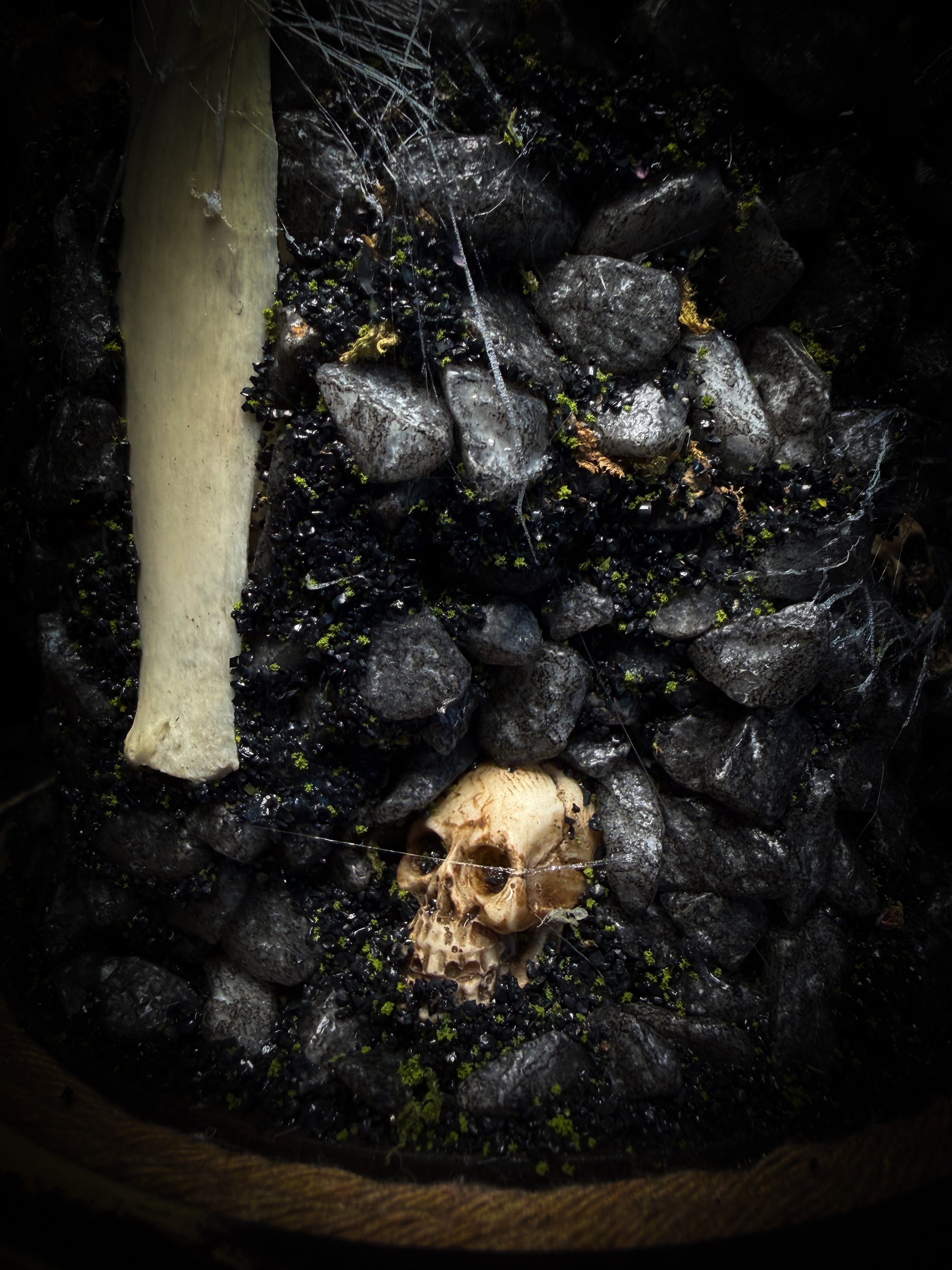 Vashti — handmade glass dome with real Poecilotheria metallica tarantula, deer rib arch, ornamented skulls and cobweb by Morbid Oddities