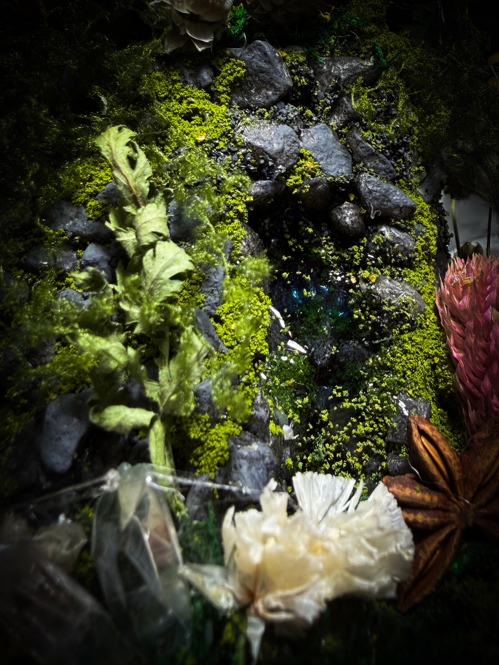 Serenity | Collector's Work