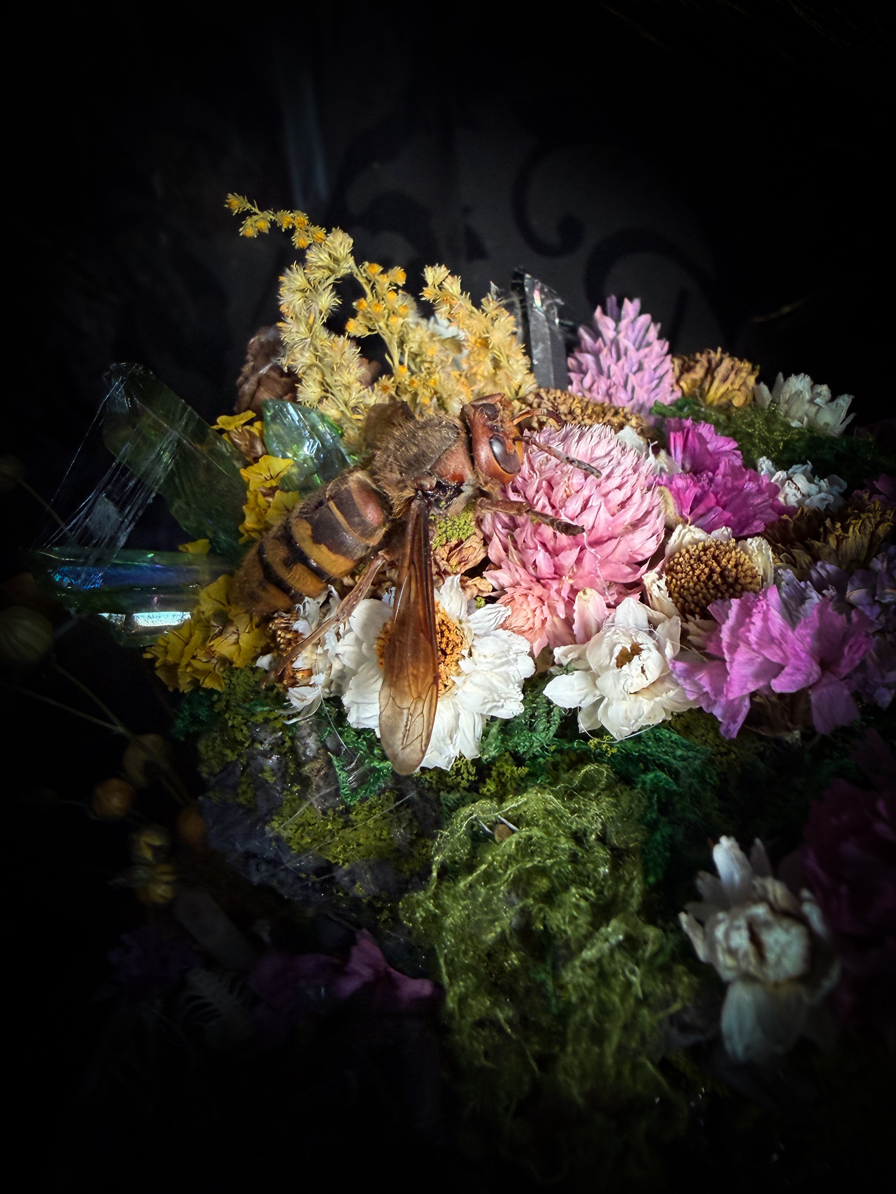 Serenity | Collector's Work