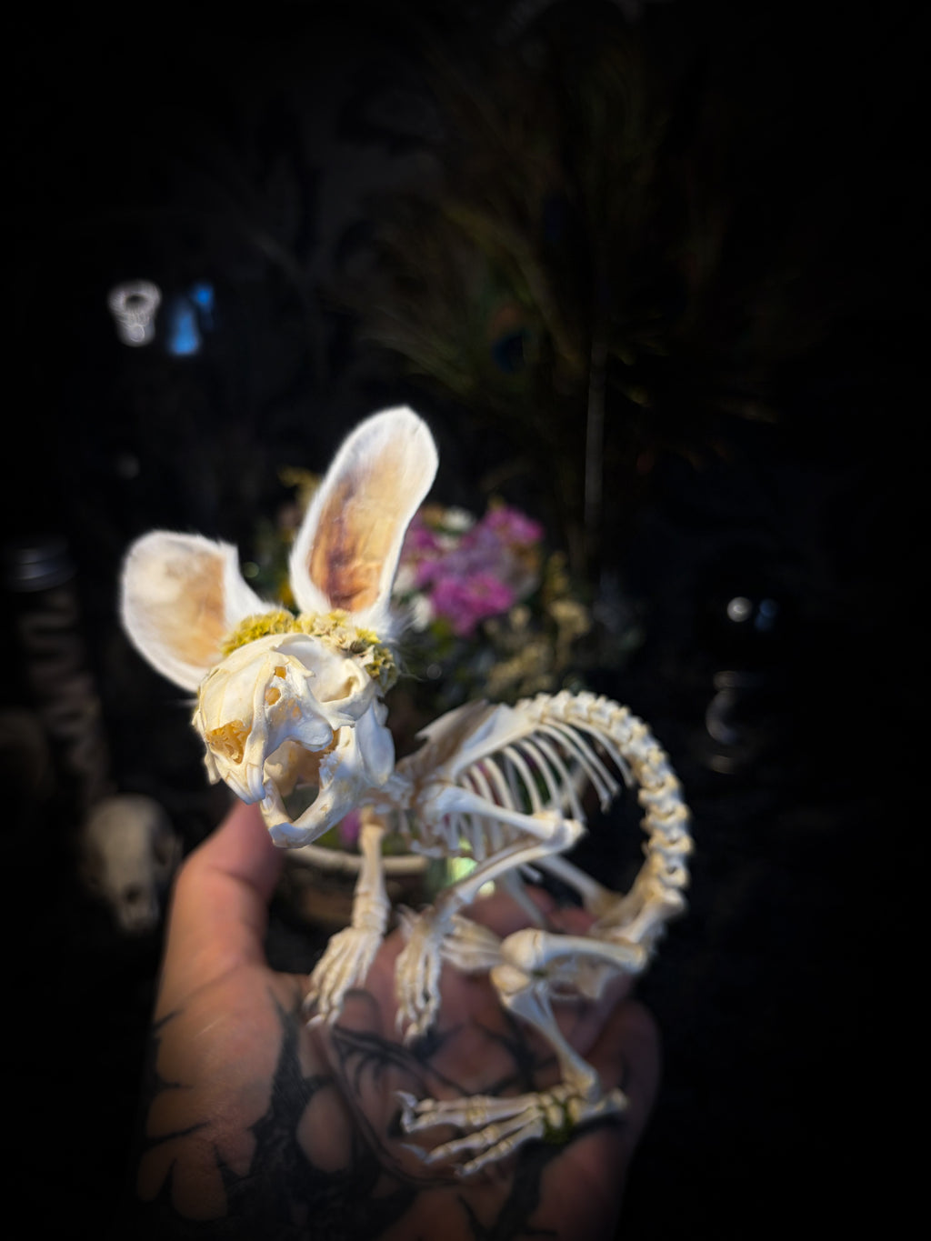 Serenity | Collector's Work