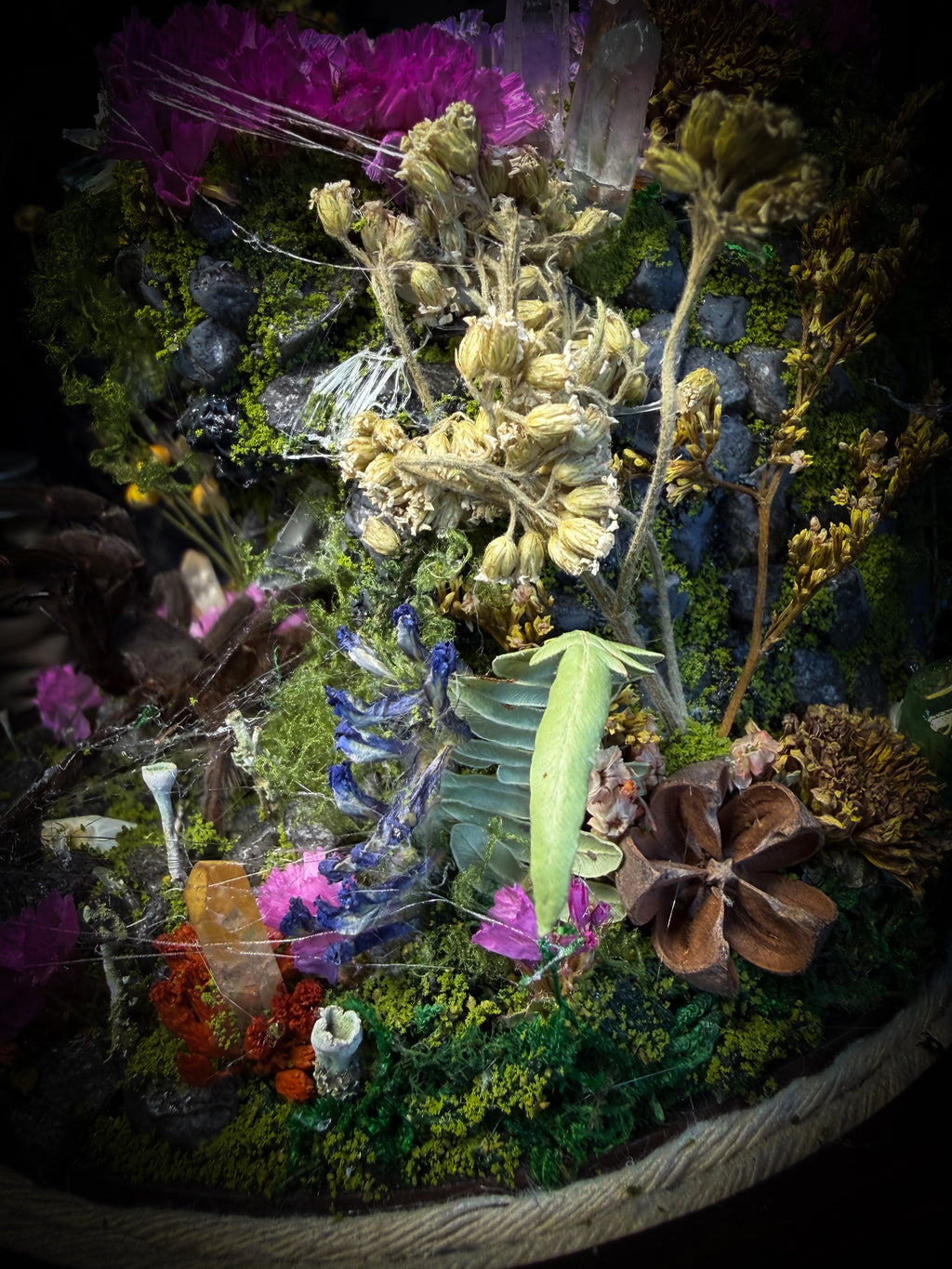 Serenity | Collector's Work
