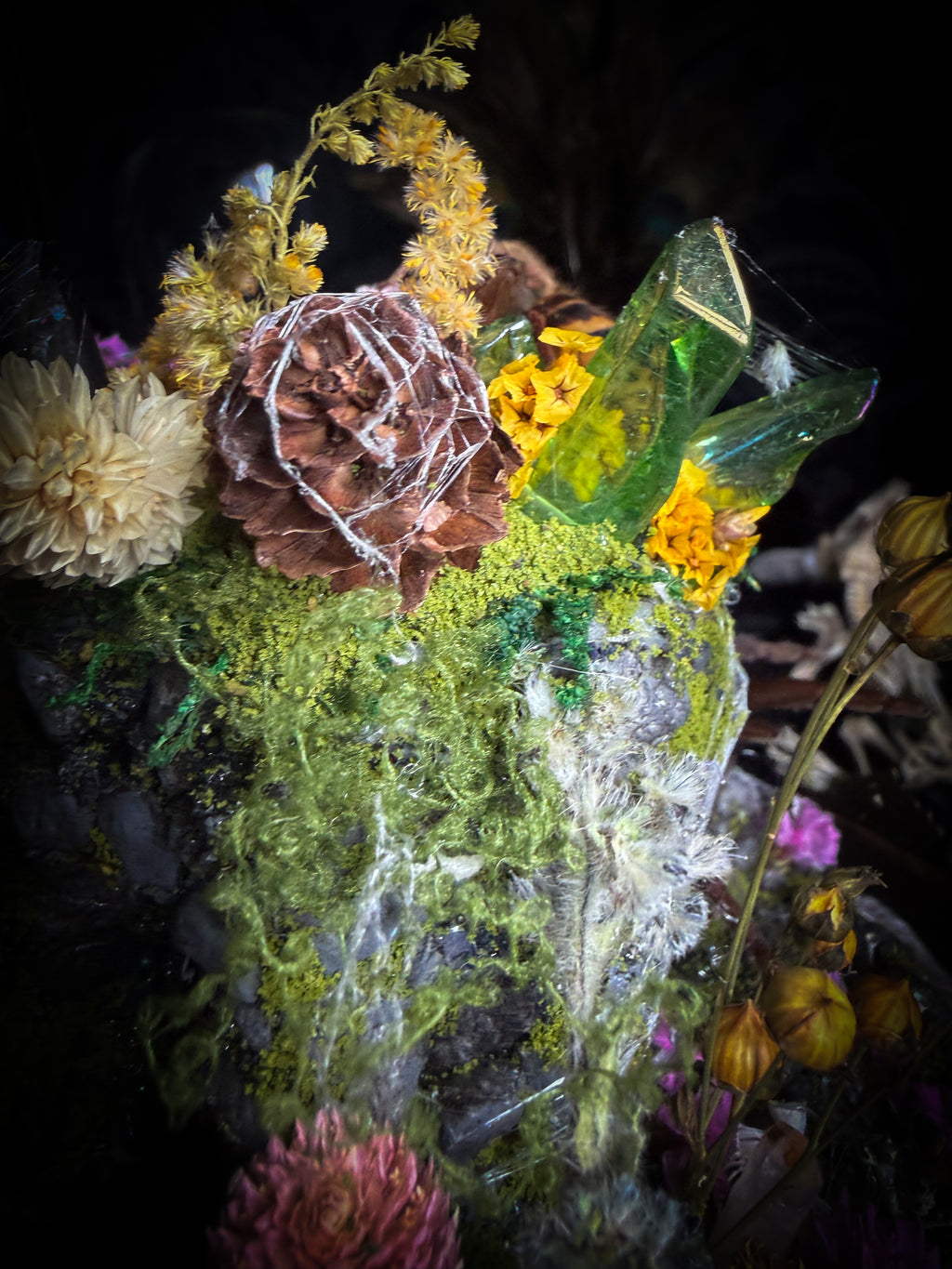 Serenity | Collector's Work