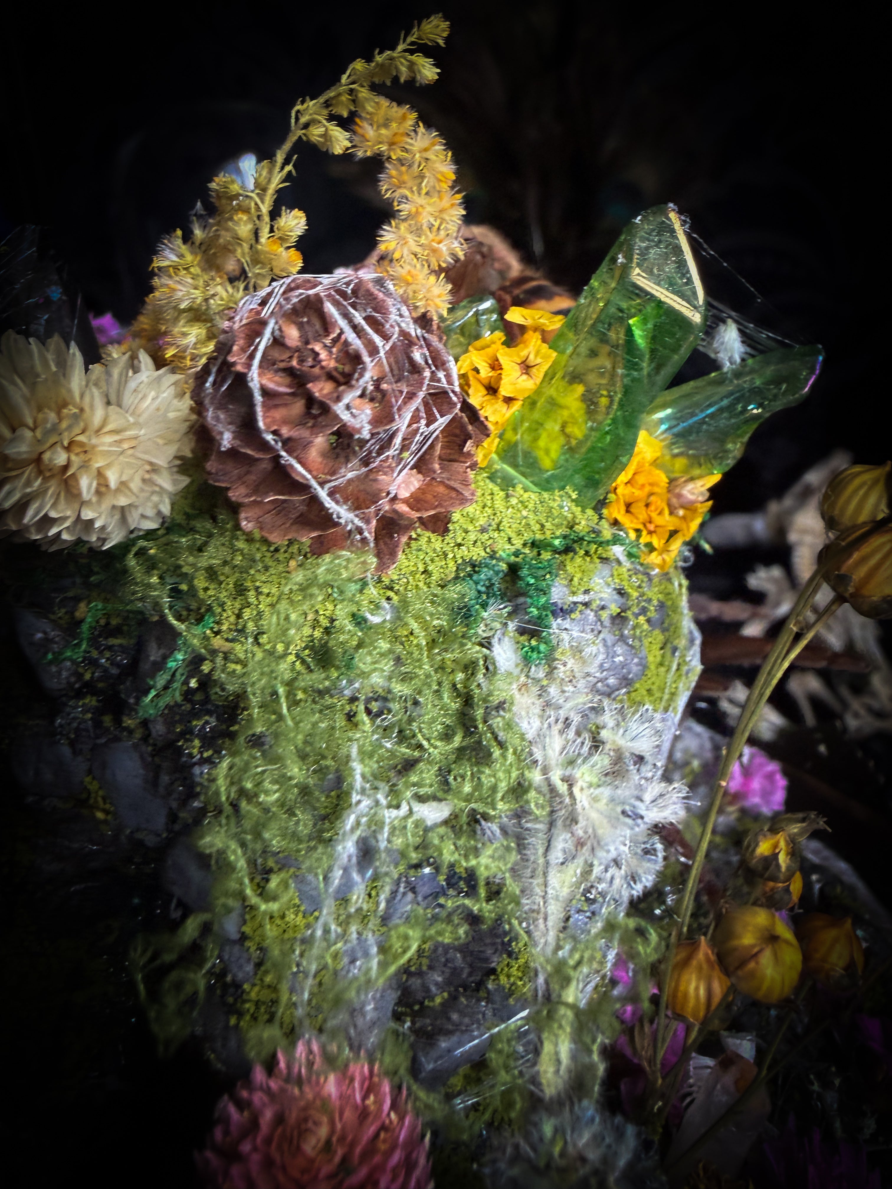Serenity | Collector's Work