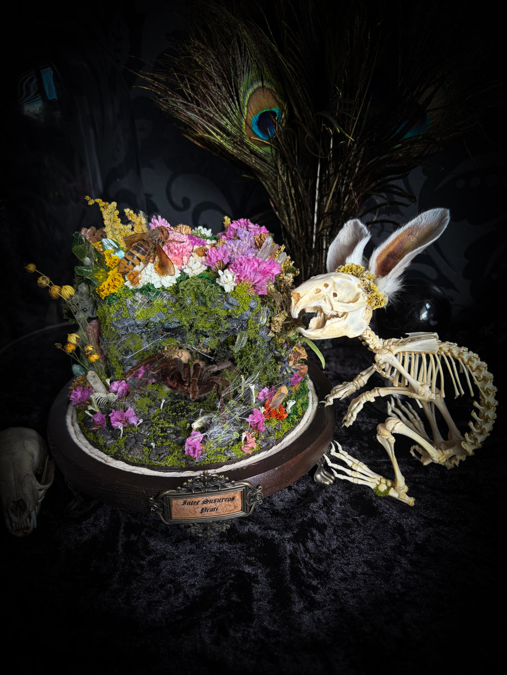 Serenity | Collector's Work