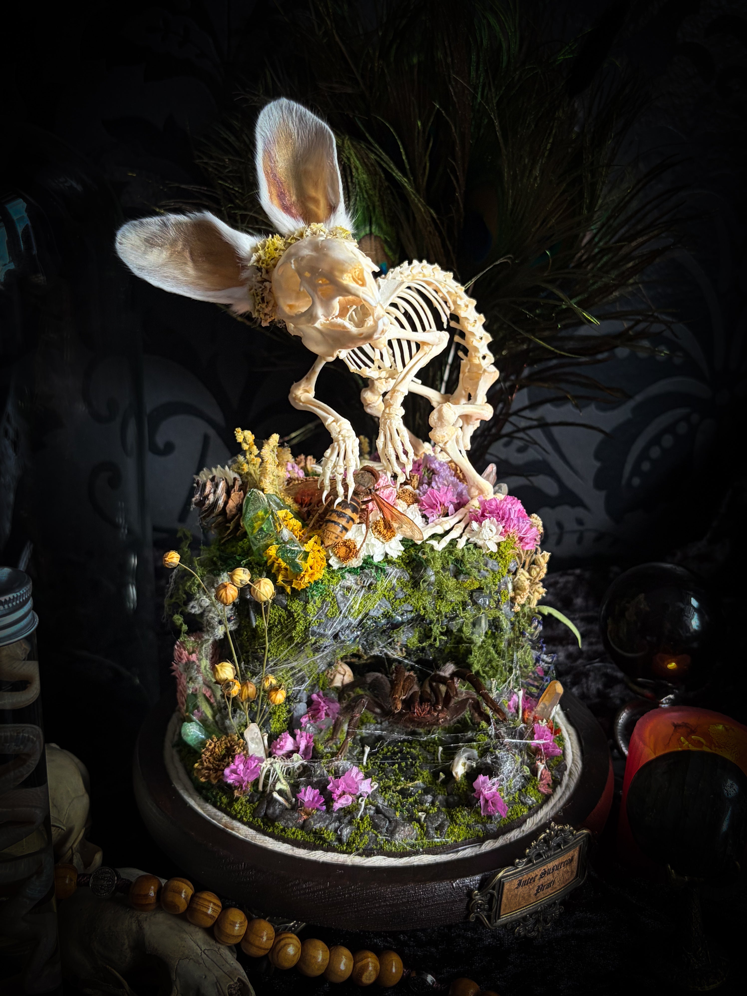Serenity | Collector's Work