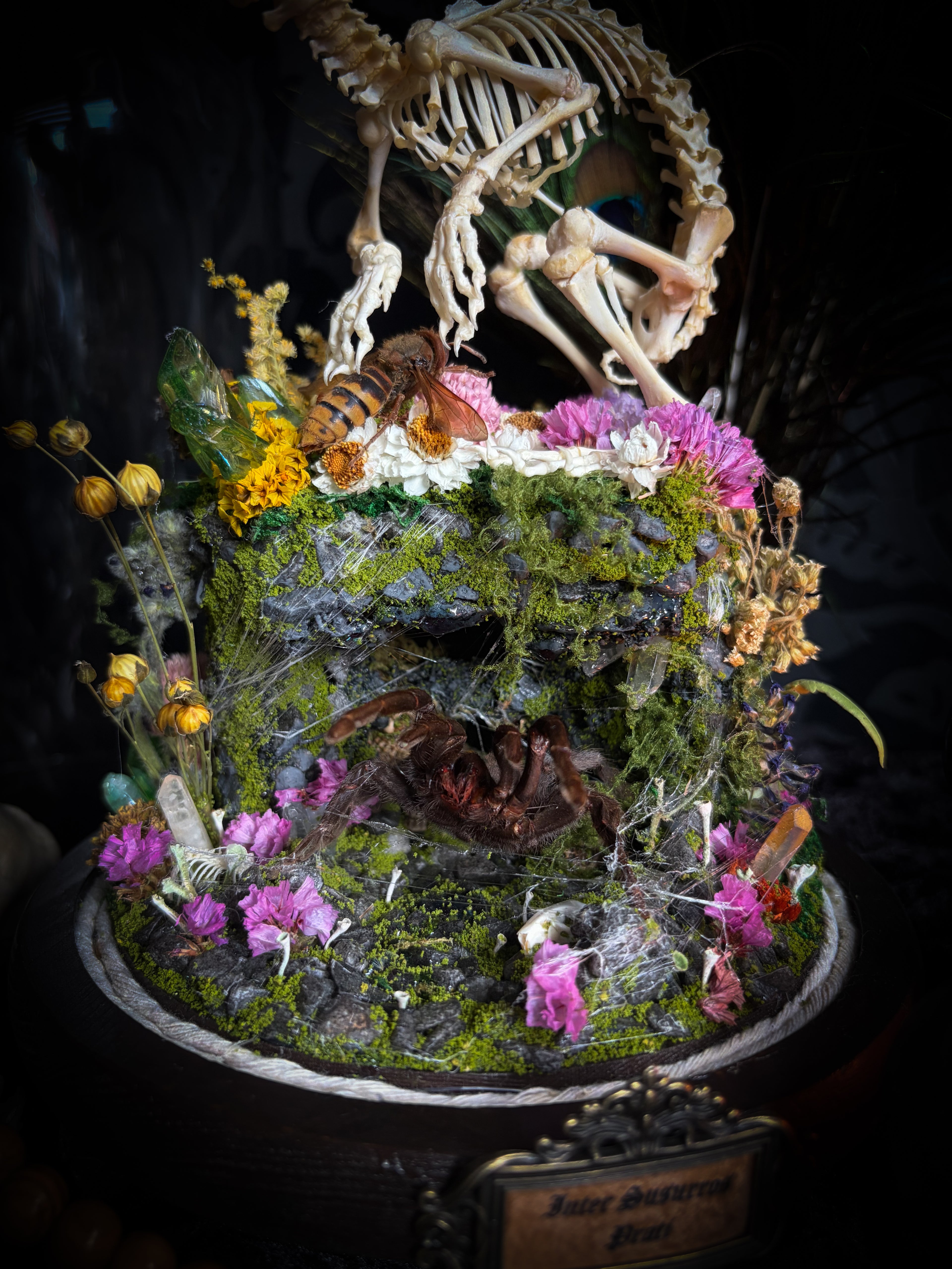 Serenity | Collector's Work