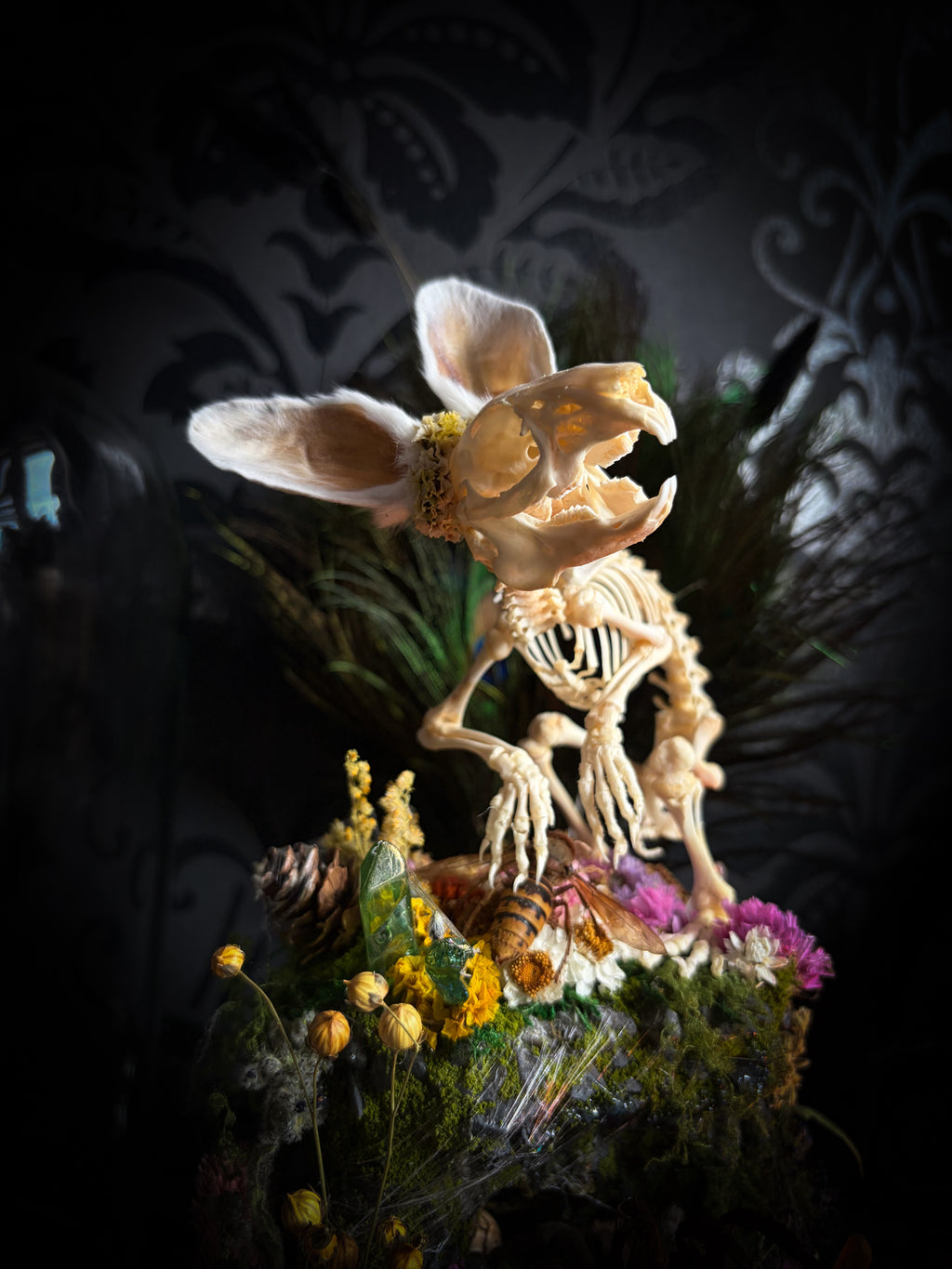 Serenity | Collector's Work