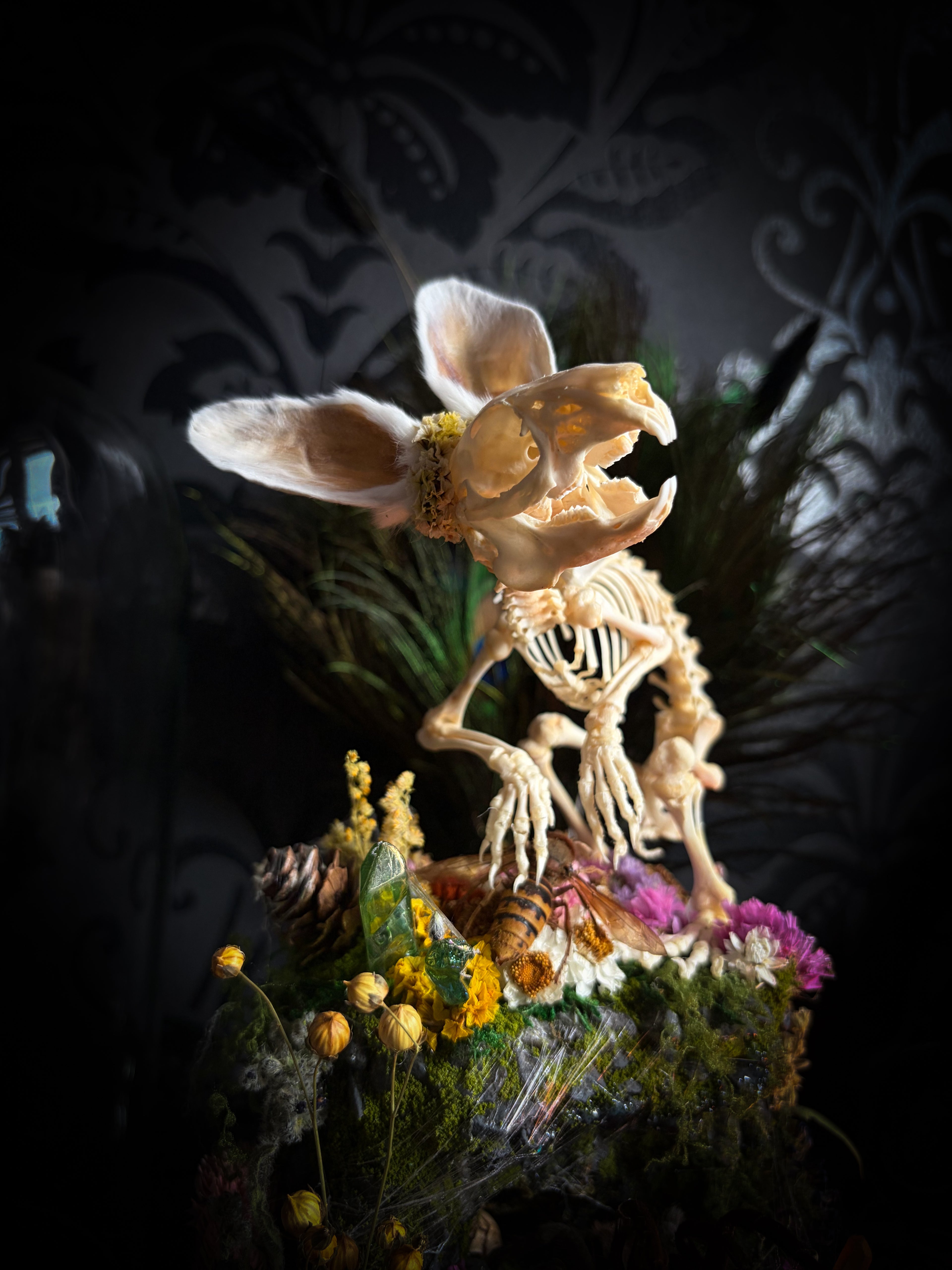 Serenity | Collector's Work