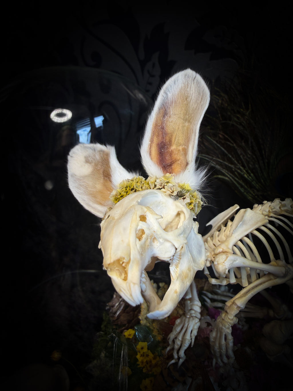 Serenity | Collector's Work