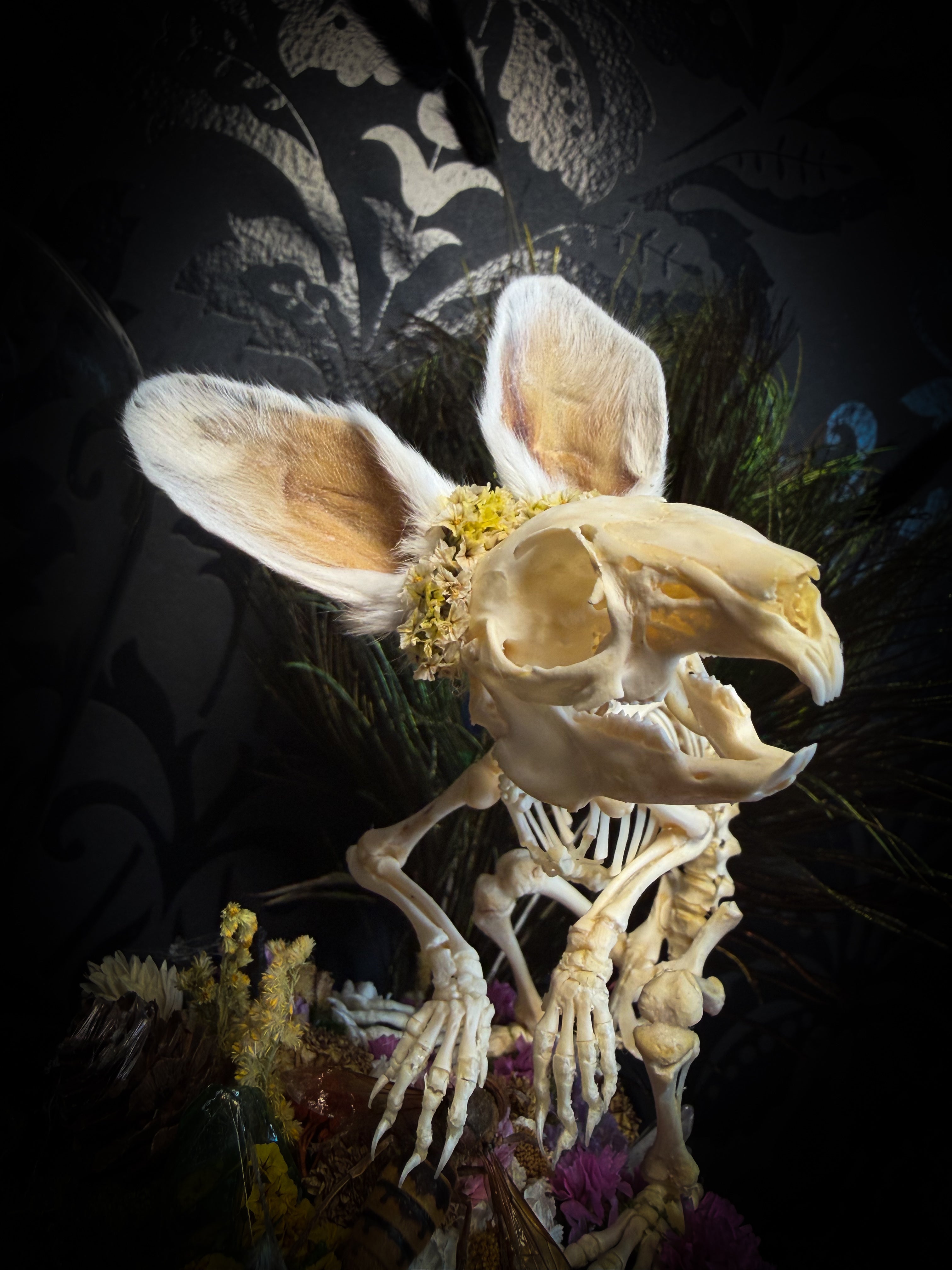 Serenity | Collector's Work