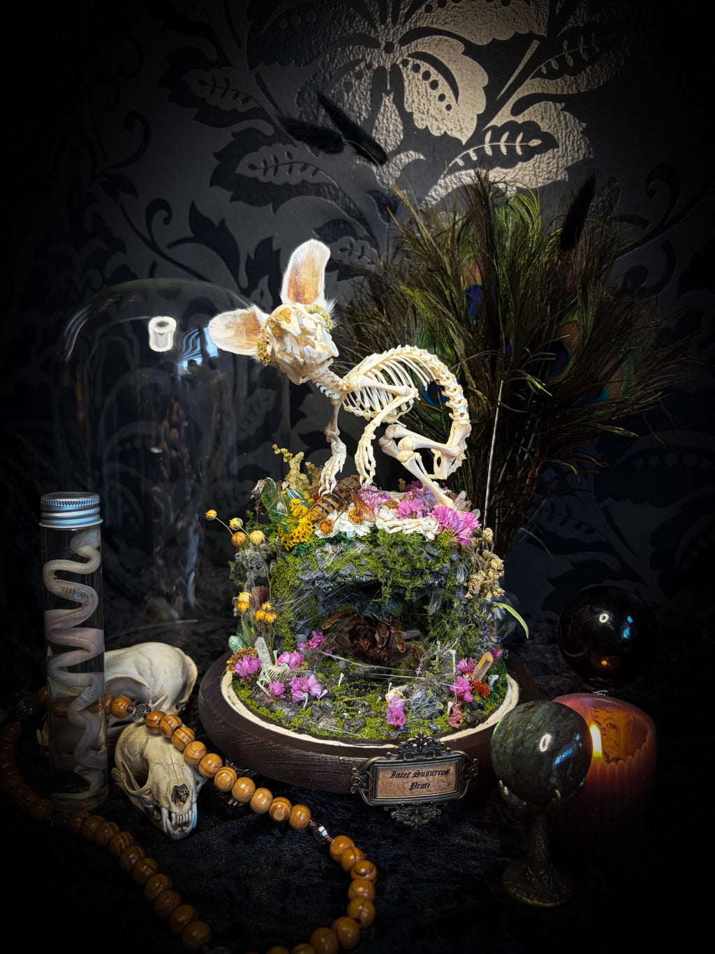Serenity | Collector's Work