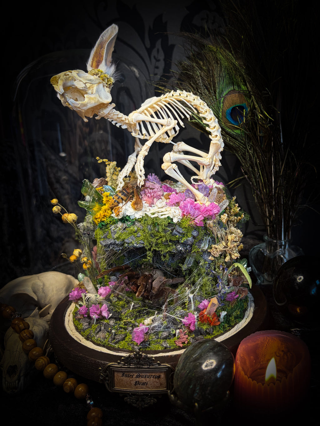 Serenity | Collector's Work