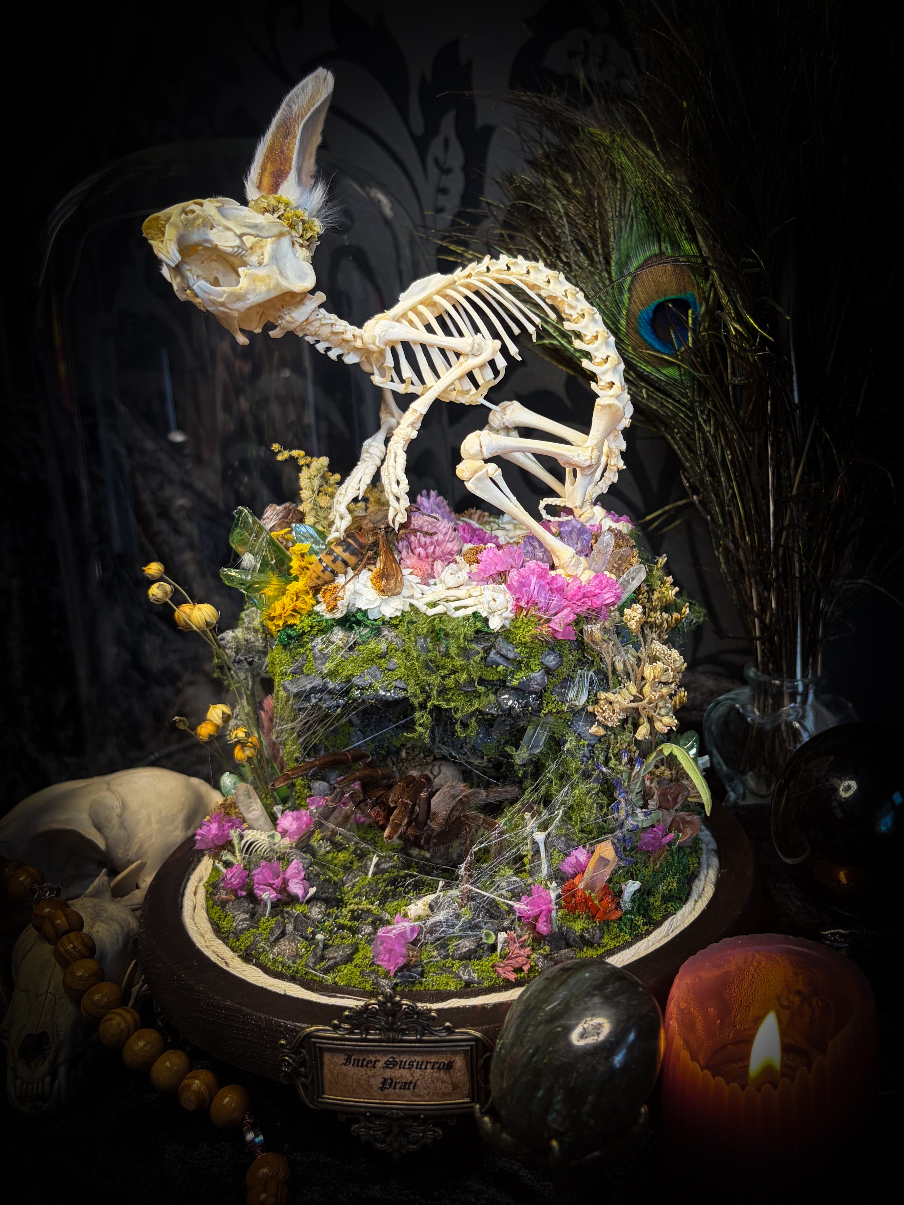 Serenity | Collector's Work