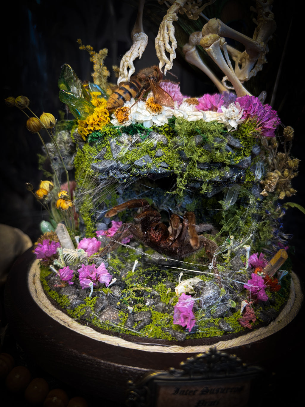Serenity | Collector's Work