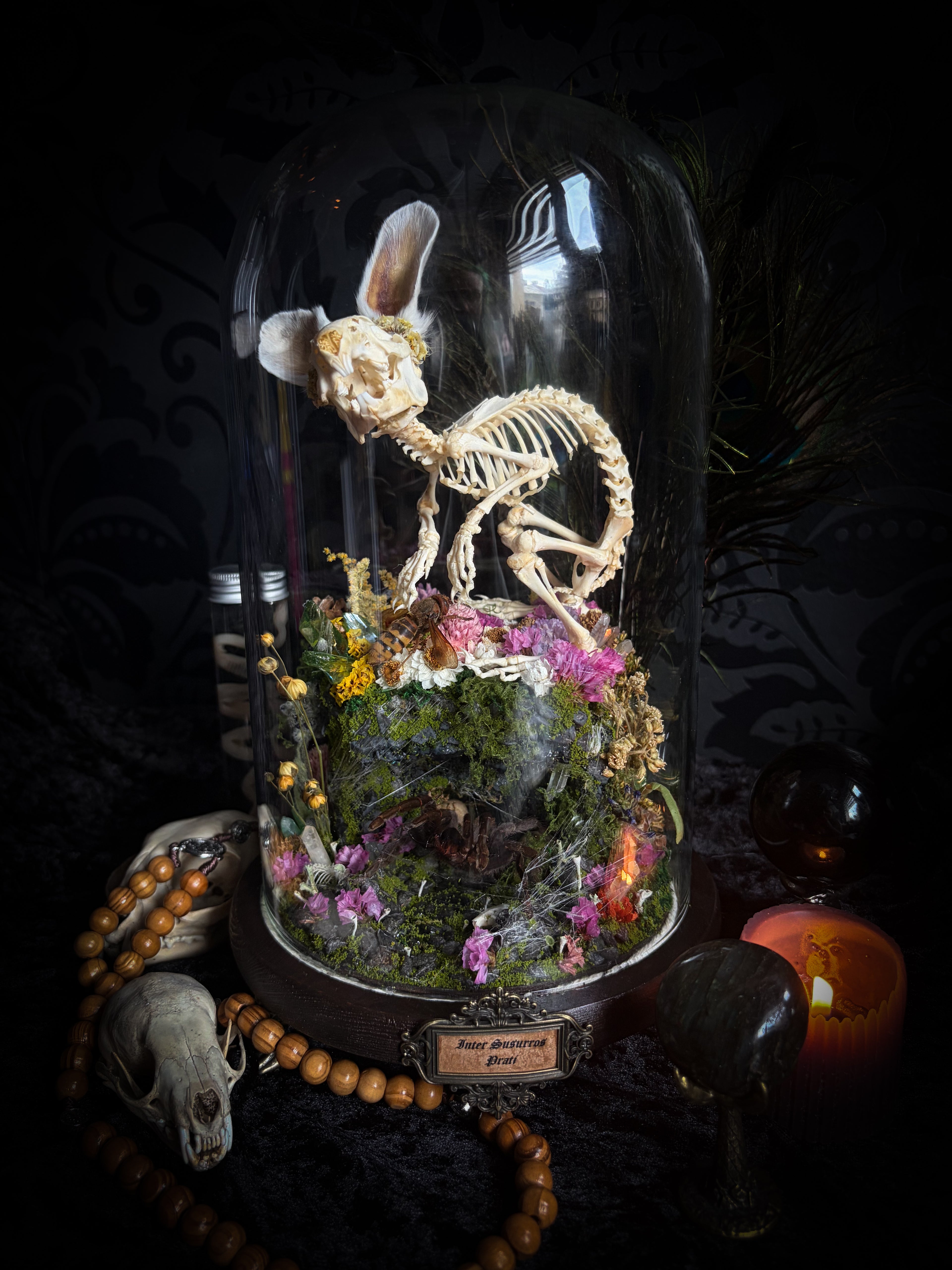 Serenity | Collector's Work