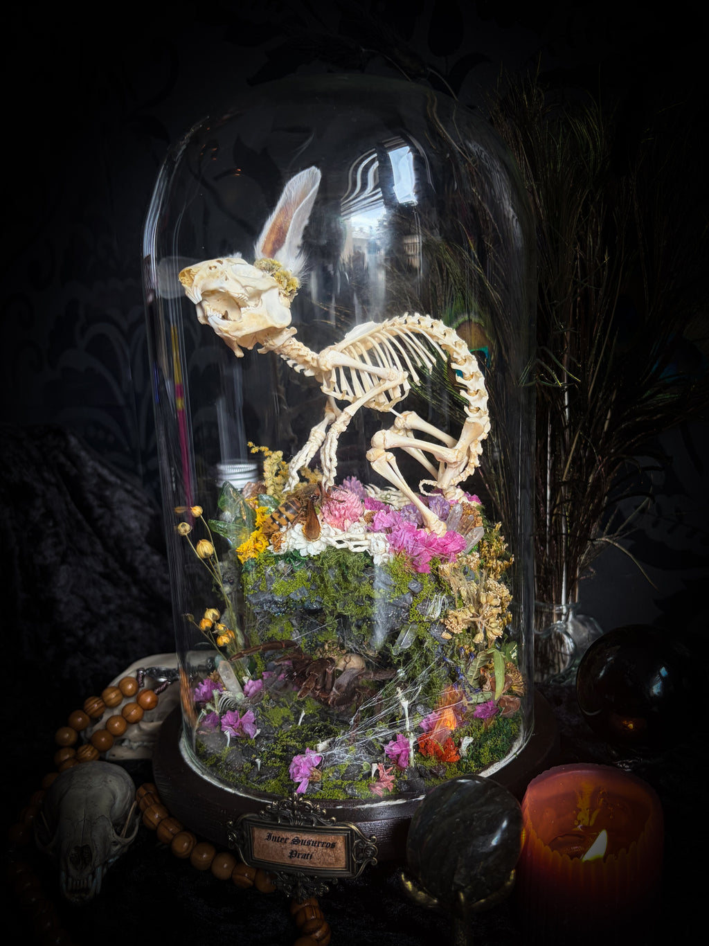 Serenity | Collector's Work