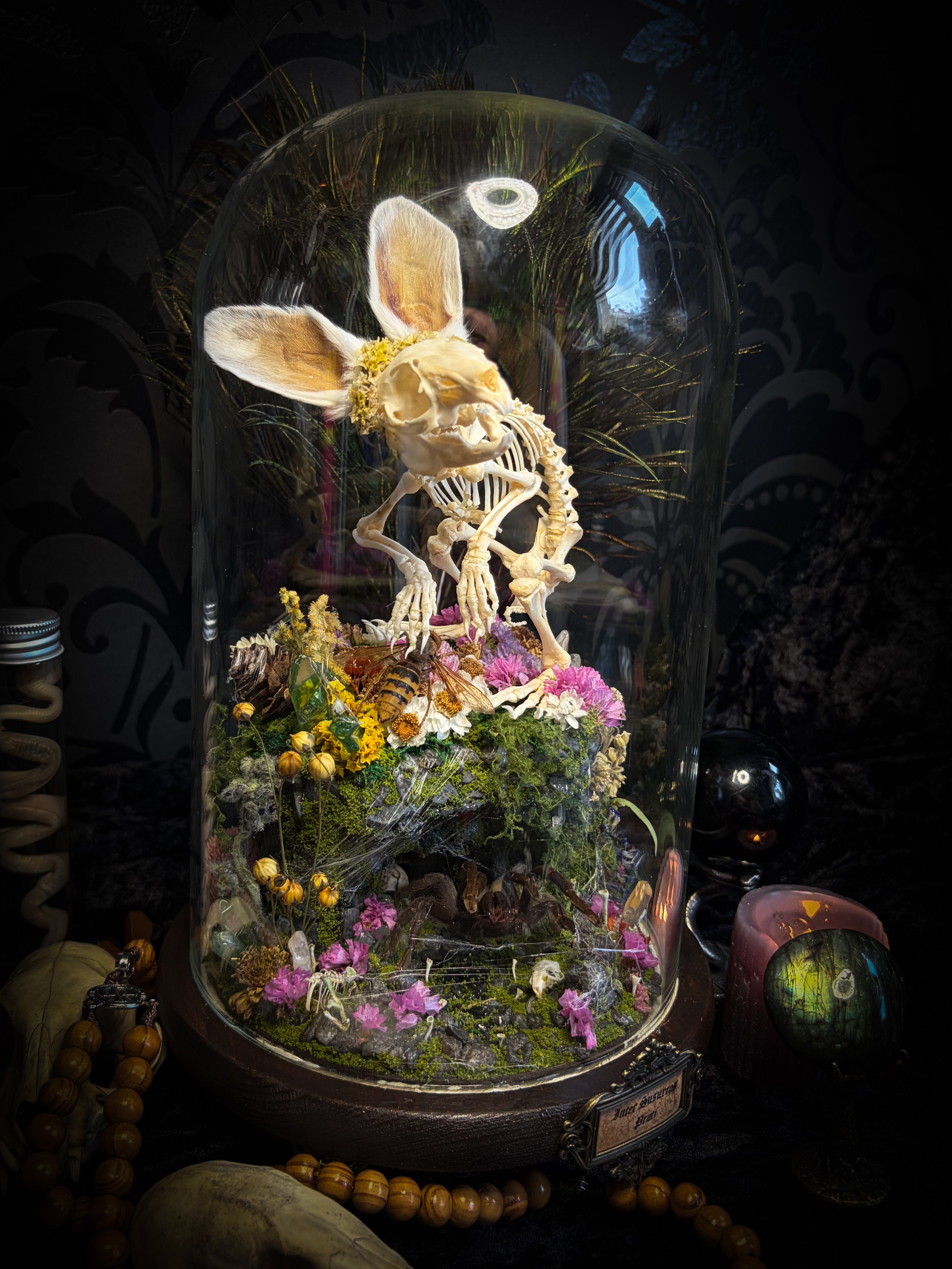 Serenity | Collector's Work