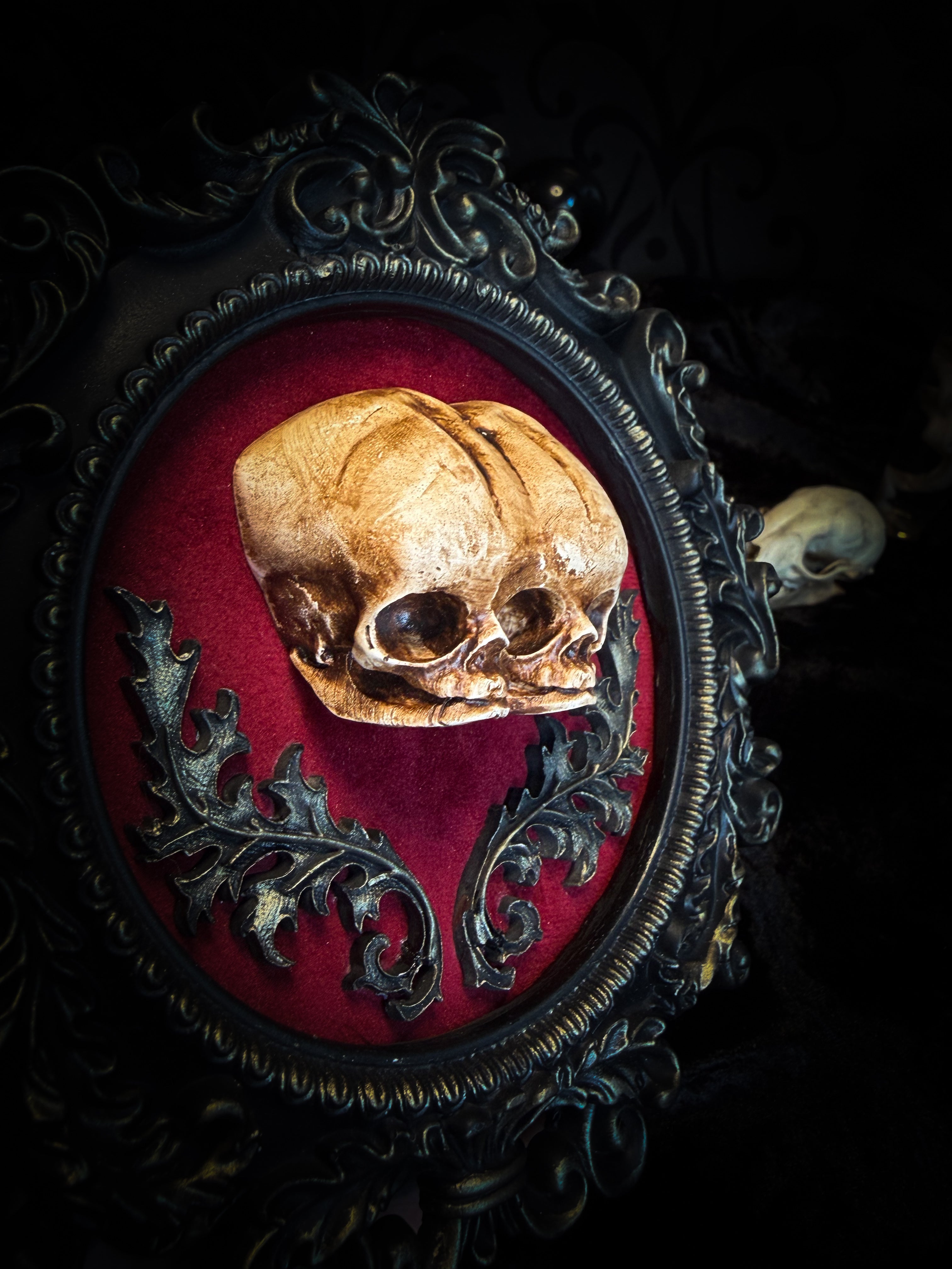 Handmade gothic shadowbox with conjoined skulls, ornate frame, black velvet lining — dark wall decor