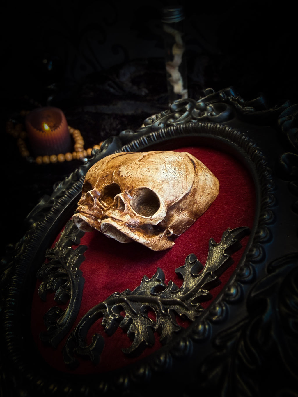 Handmade gothic shadowbox with conjoined skulls, ornate frame, black velvet lining — dark wall decor