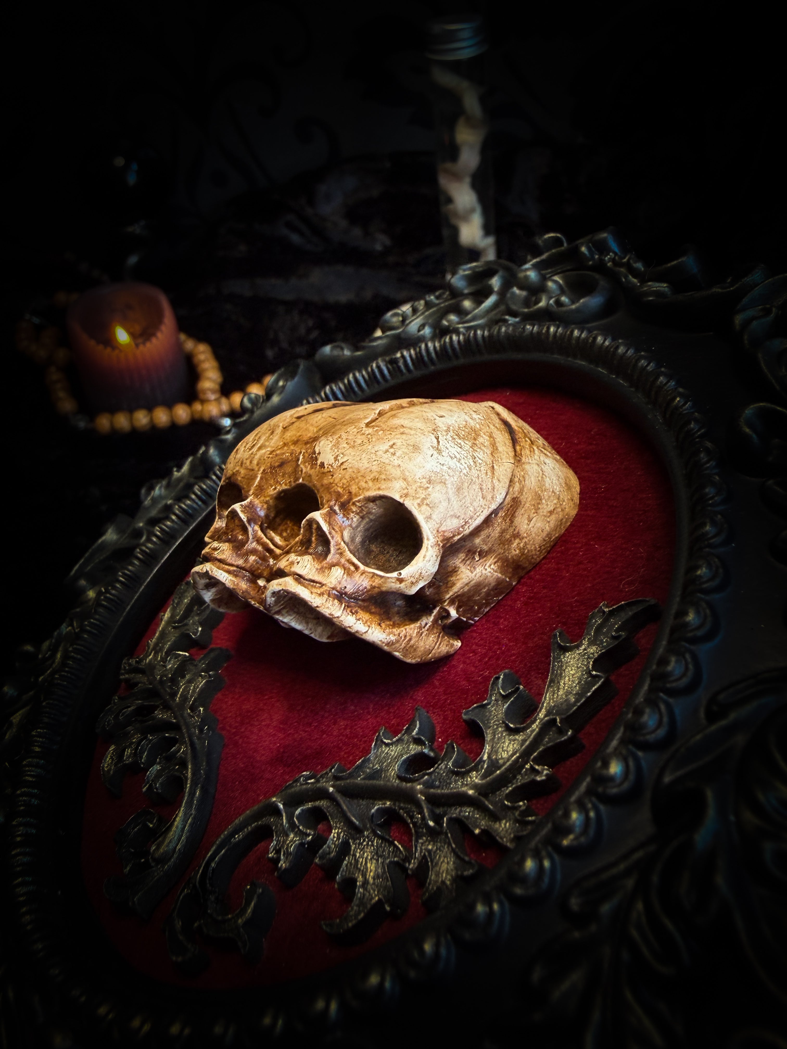 Handmade gothic shadowbox with conjoined skulls, ornate frame, black velvet lining — dark wall decor