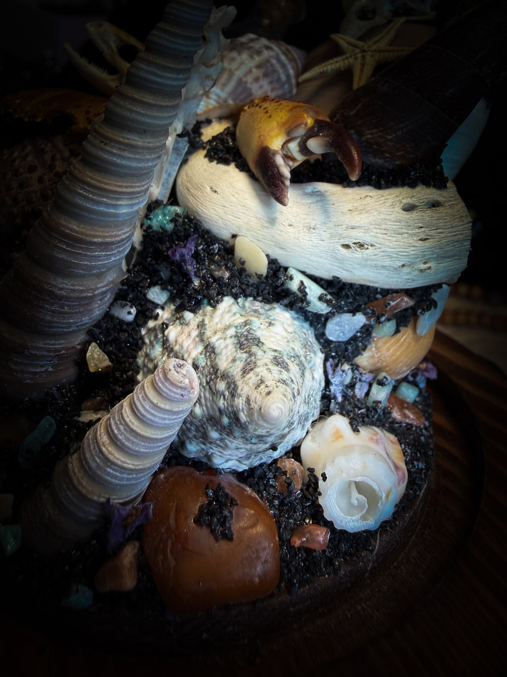 Mare Obscurum — handcrafted gothic sea reliquary dome with rare violet sea urchin, bird skull and shells — dark decor by Morbid Oddities