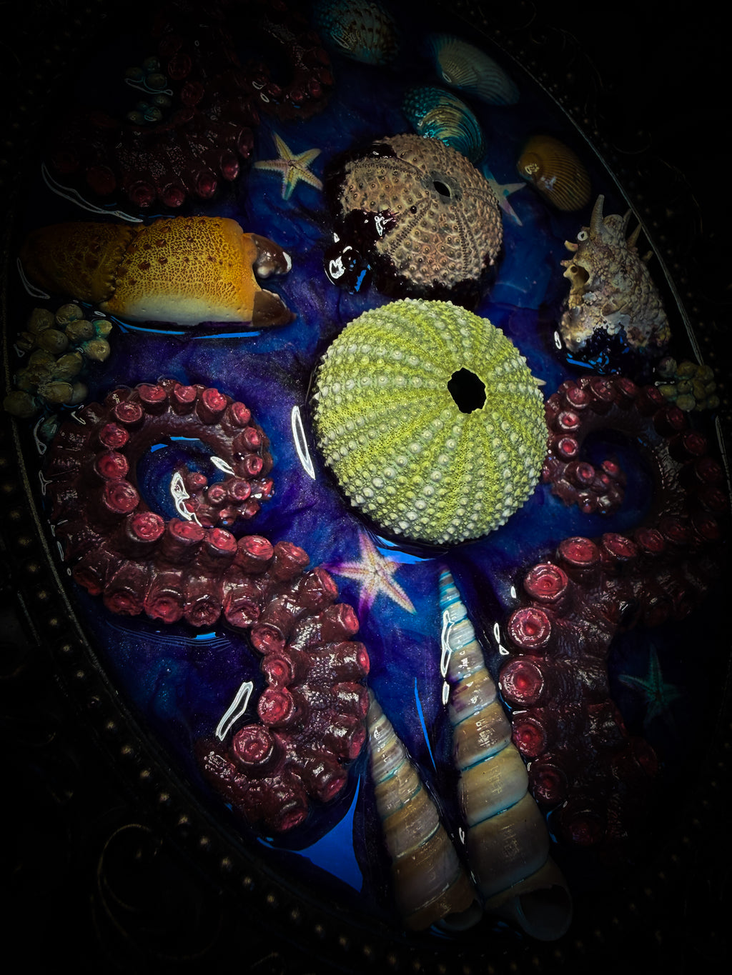 Song of the Sirens | Sea Reliquary