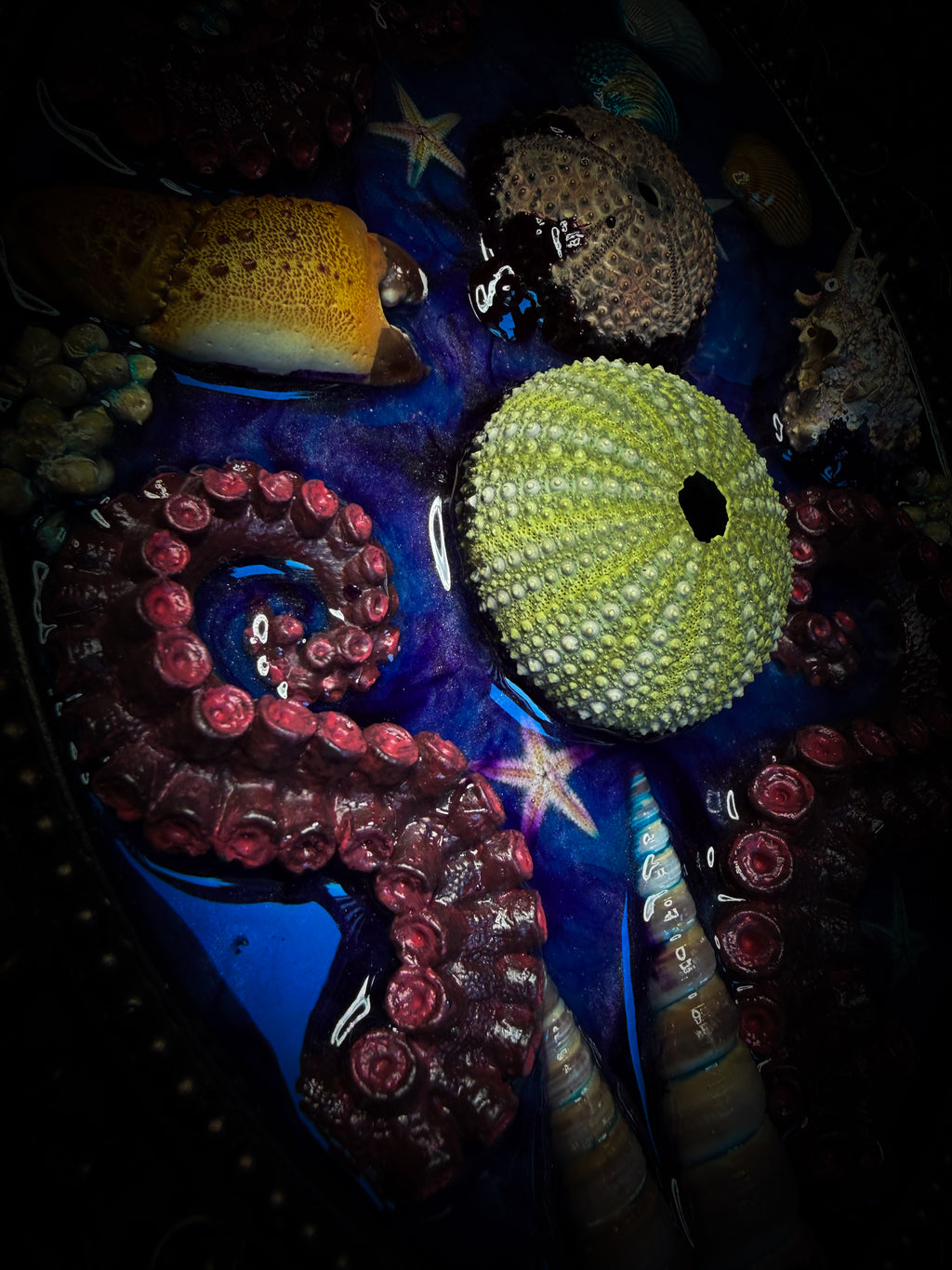 Song of the Sirens | Sea Reliquary
